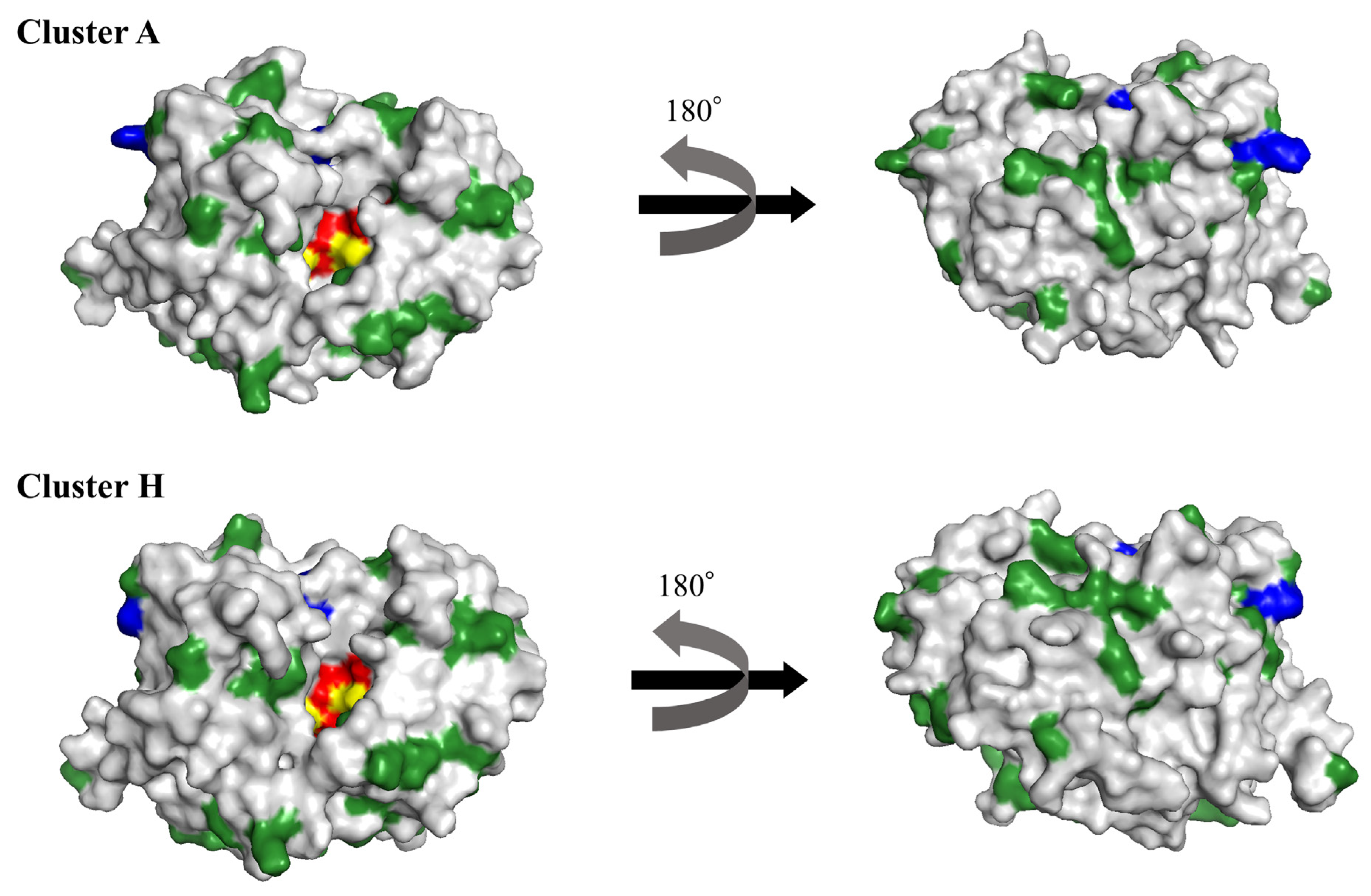 Microorganisms 11 00635 g003