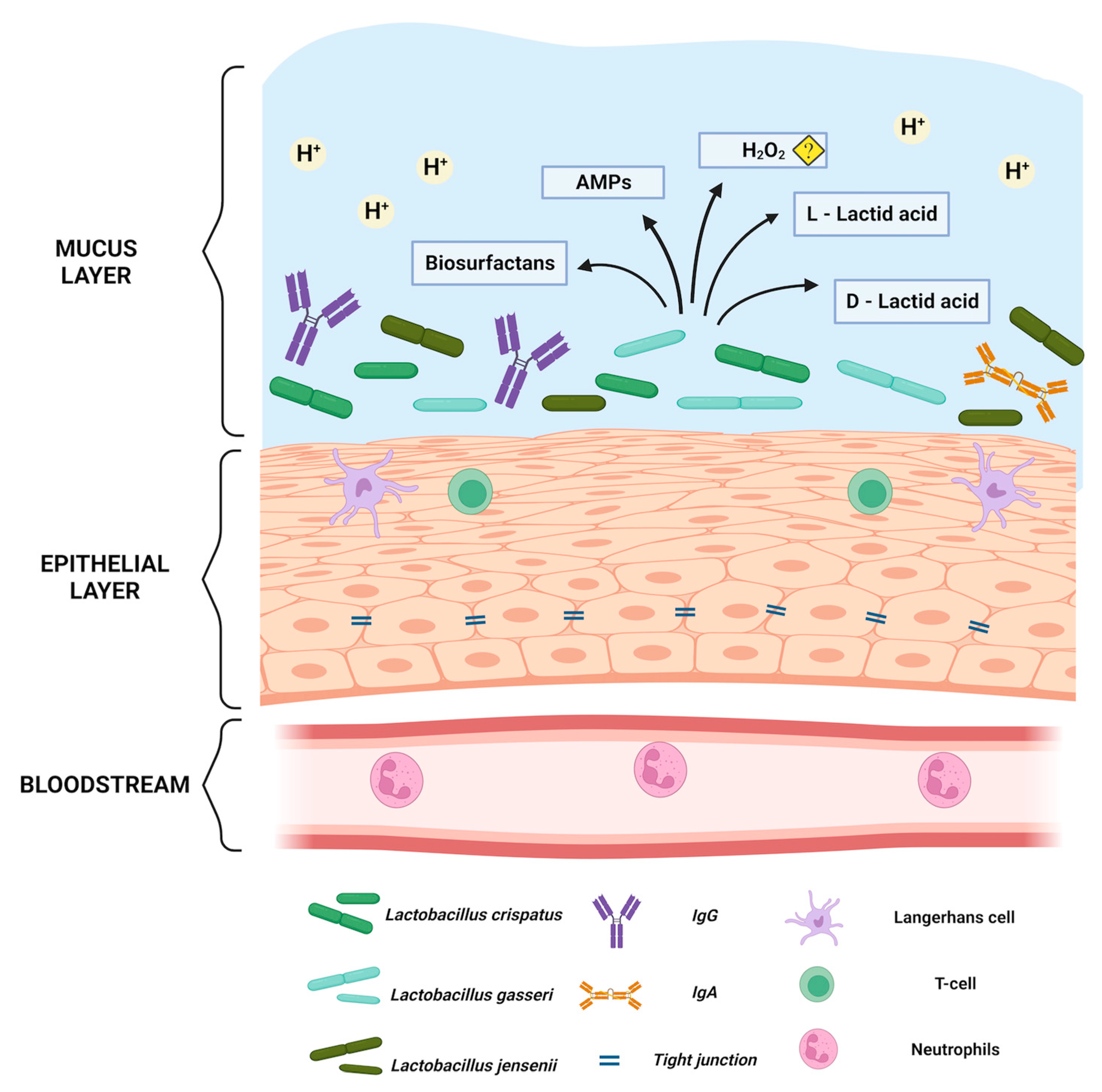 Microorganisms 11 00636 g001 Microorganisms 11 00636 g001