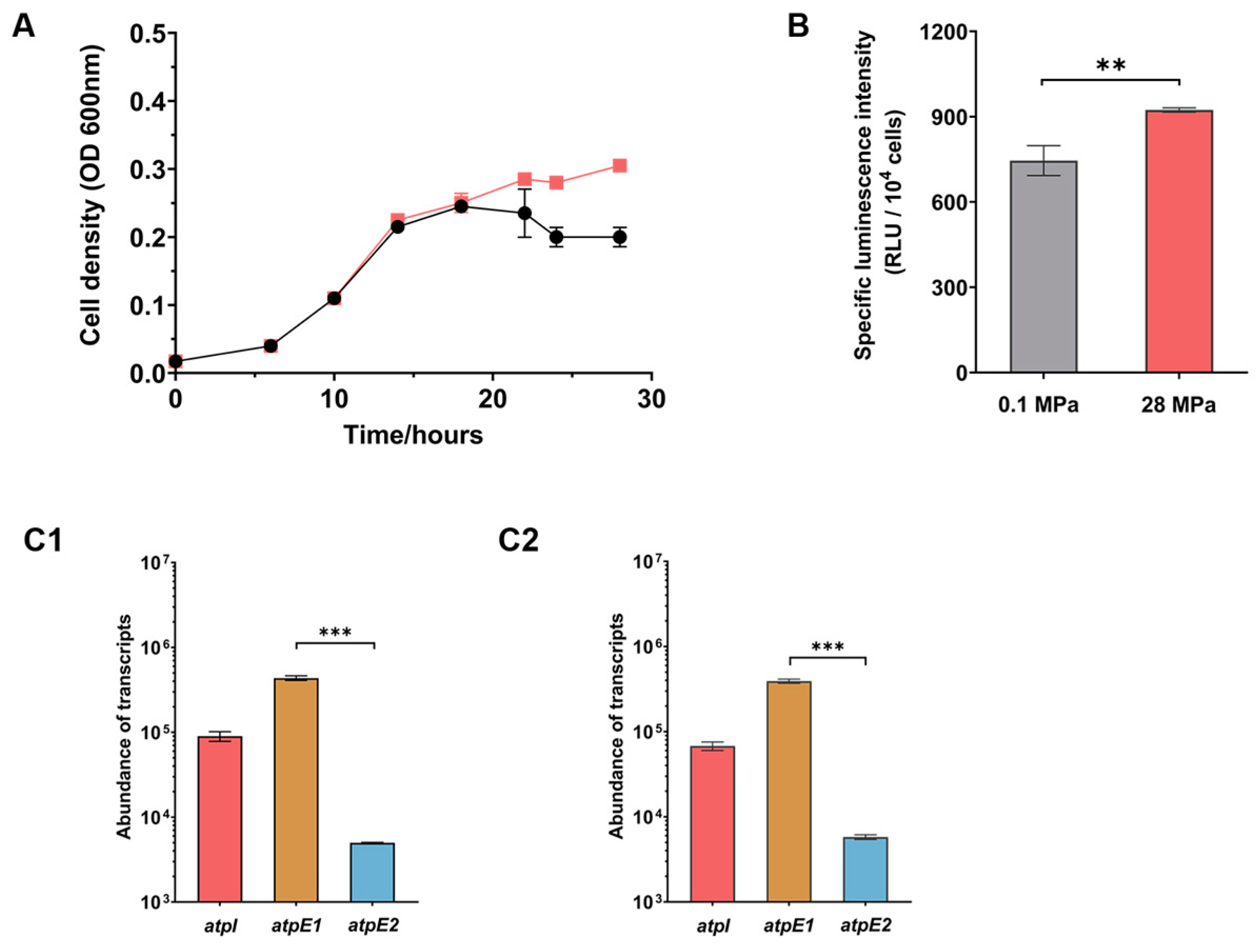 Microorganisms 11 00637 g002