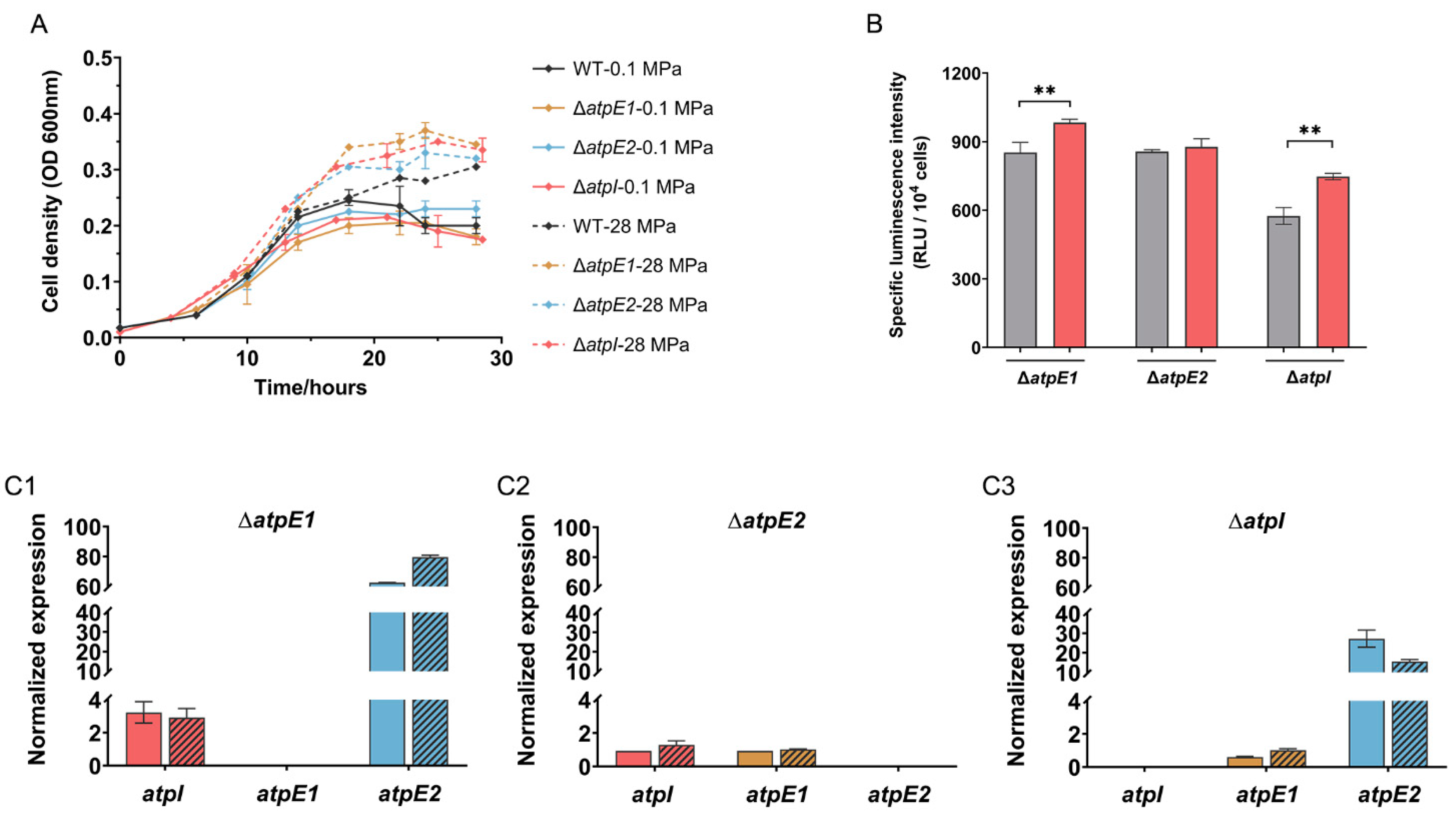 Microorganisms 11 00637 g003
