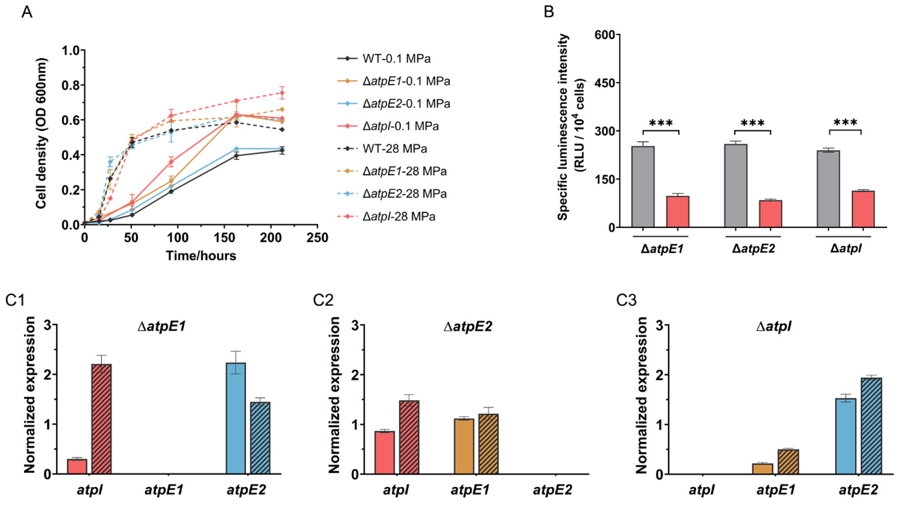Microorganisms 11 00637 g005