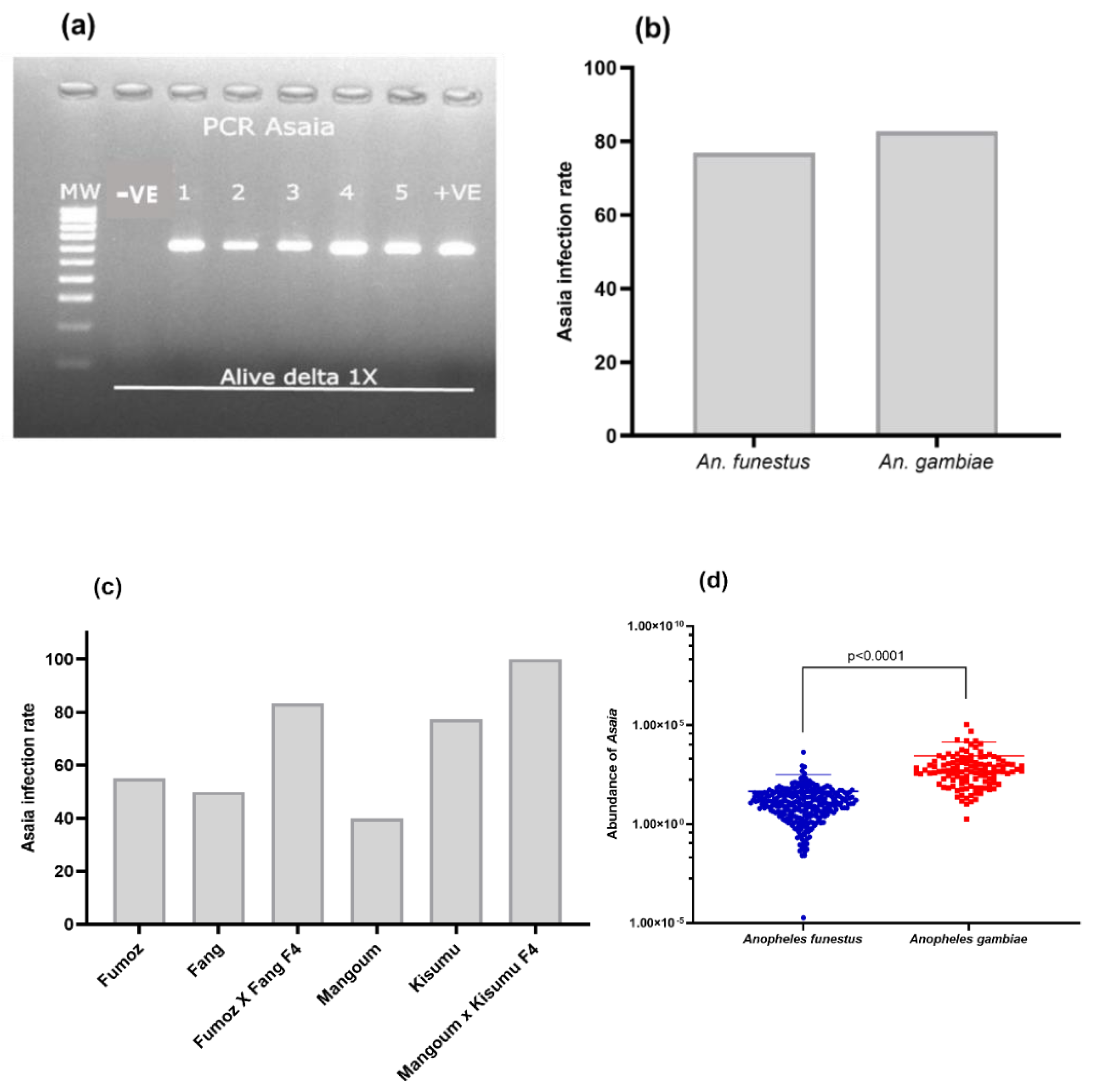 Microorganisms 11 00644 g006