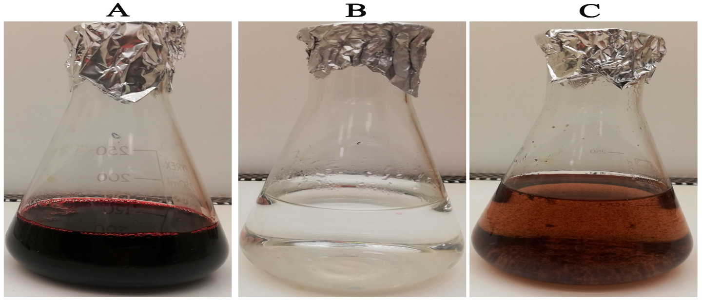 Microorganisms 11 00645 g001 Microorganisms 11 00645 g001