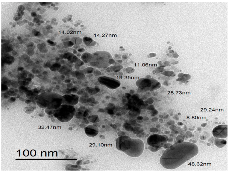 Microorganisms 11 00645 g005 Microorganisms 11 00645 g005