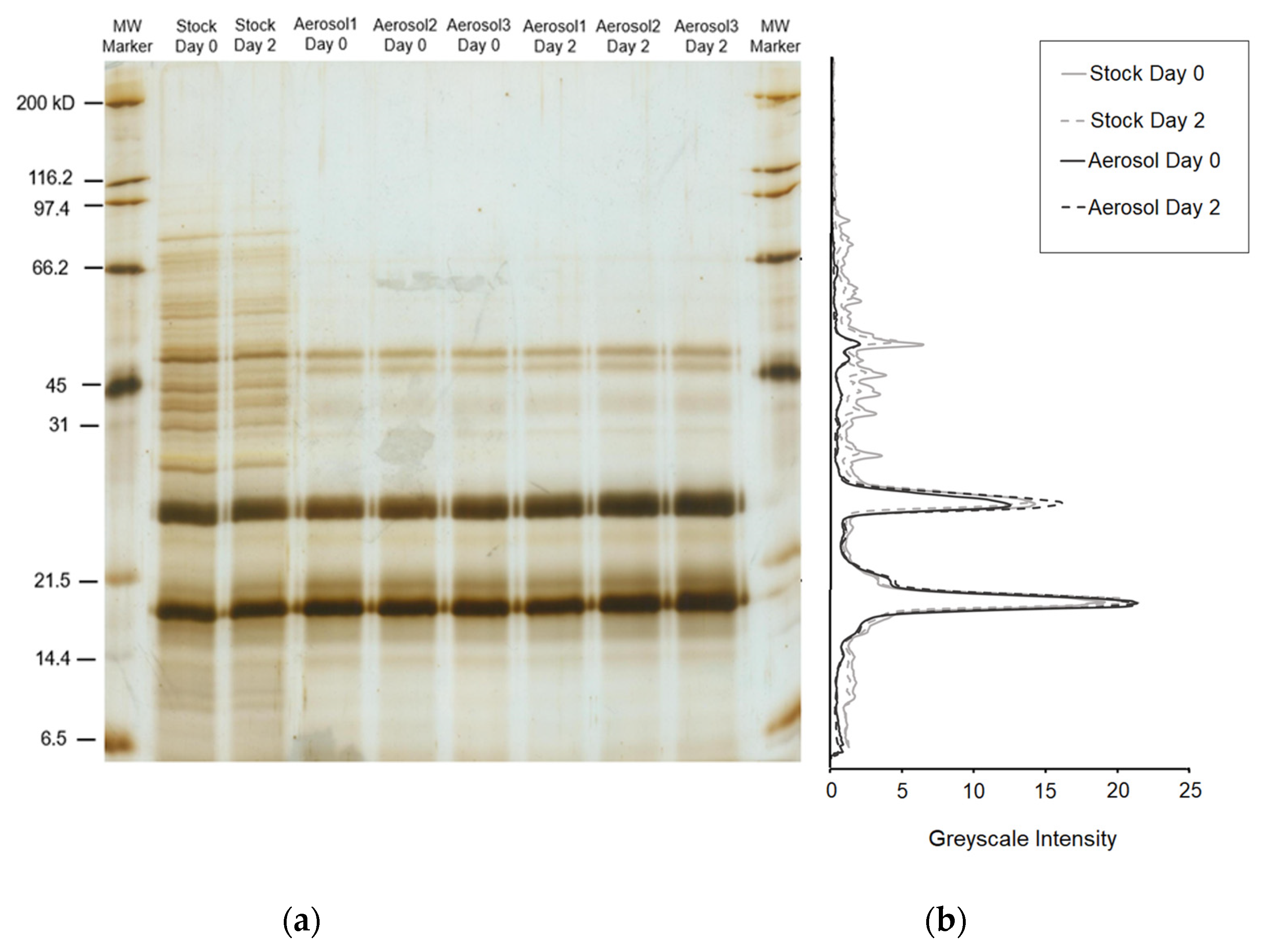Microorganisms 11 00647 g005