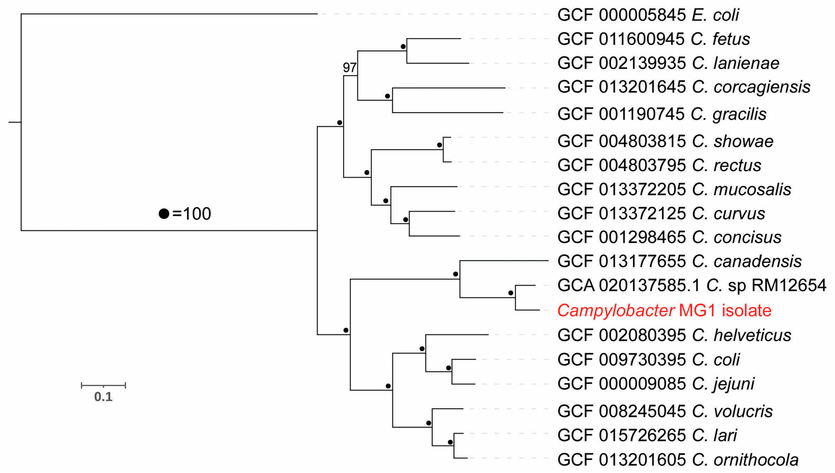 Microorganisms 11 00648 g002 Microorganisms 11 00648 g002
