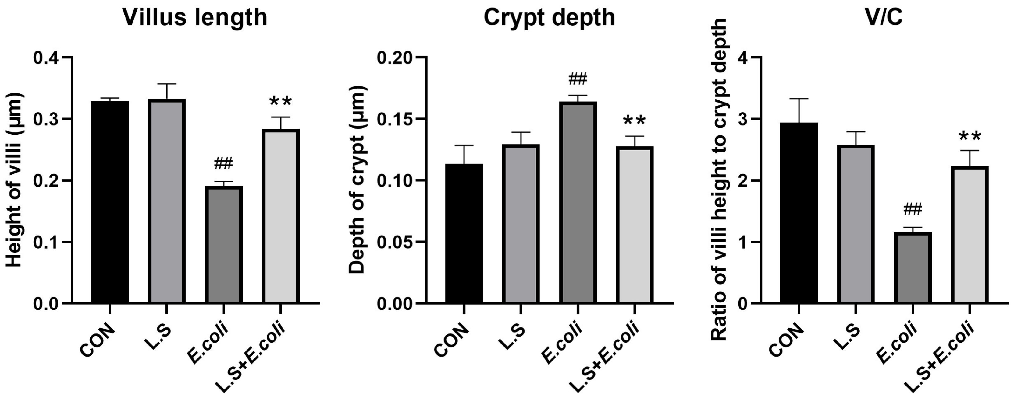 Microorganisms 11 00657 g002