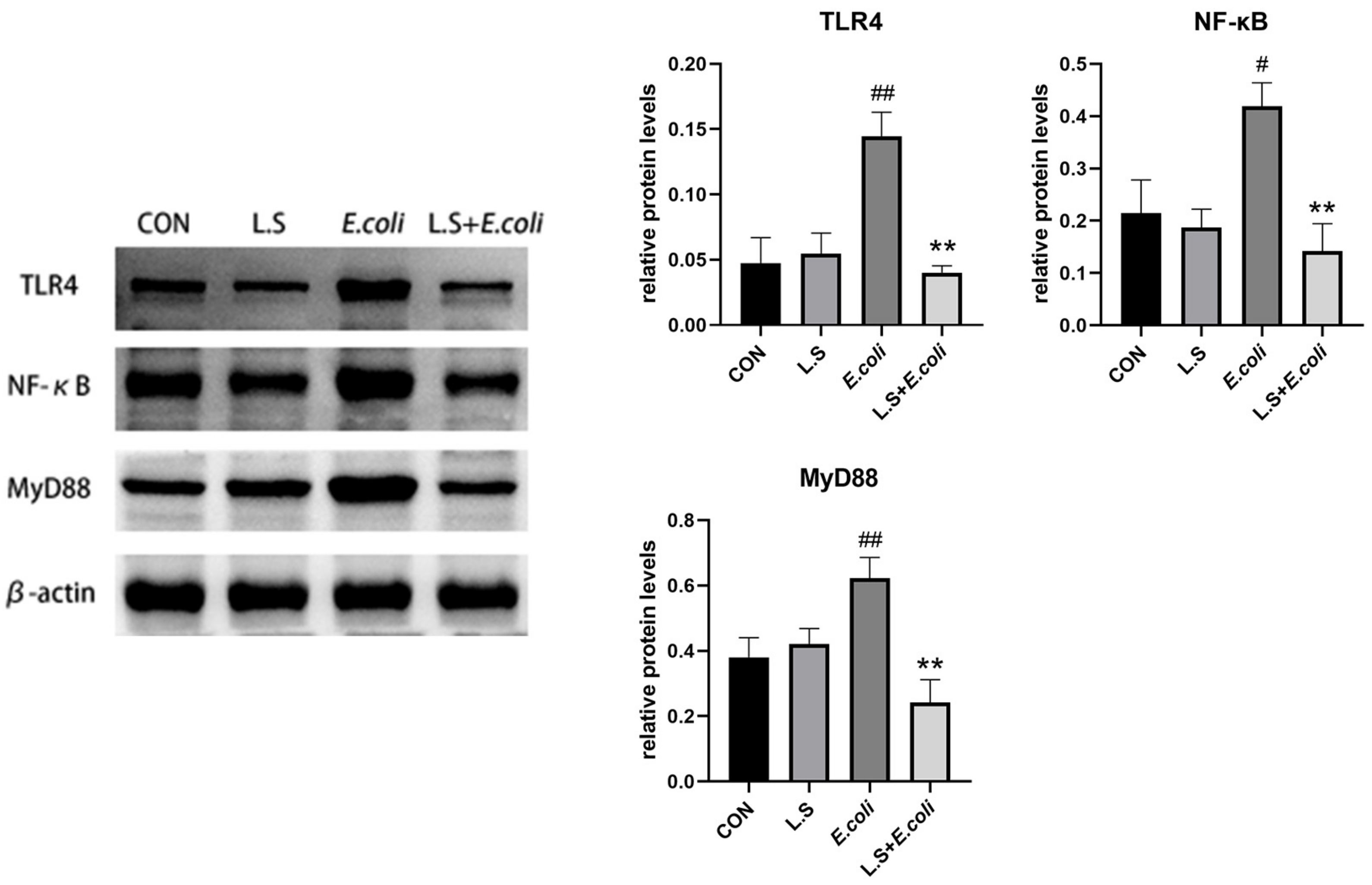 Microorganisms 11 00657 g004