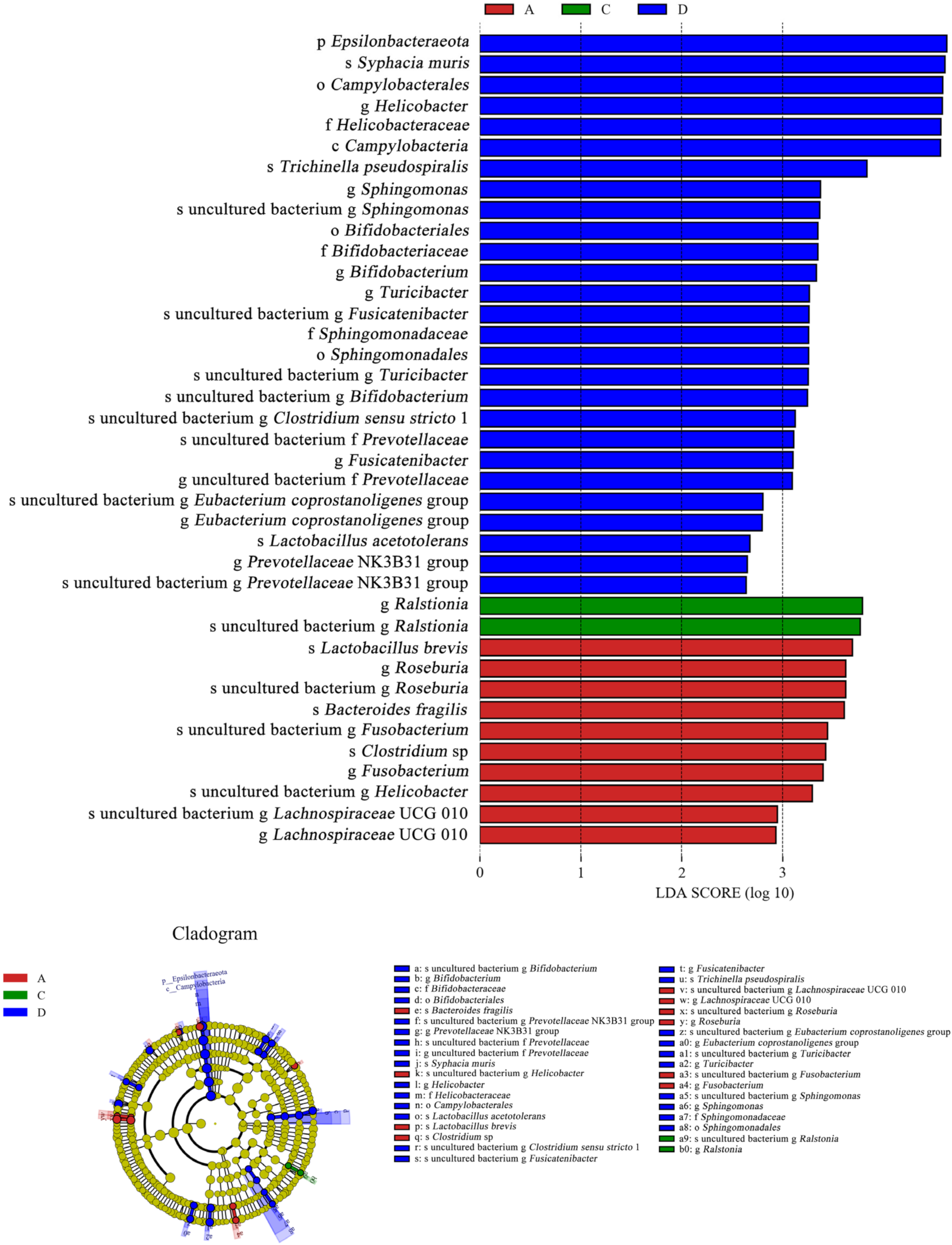 Microorganisms 11 00657 g011