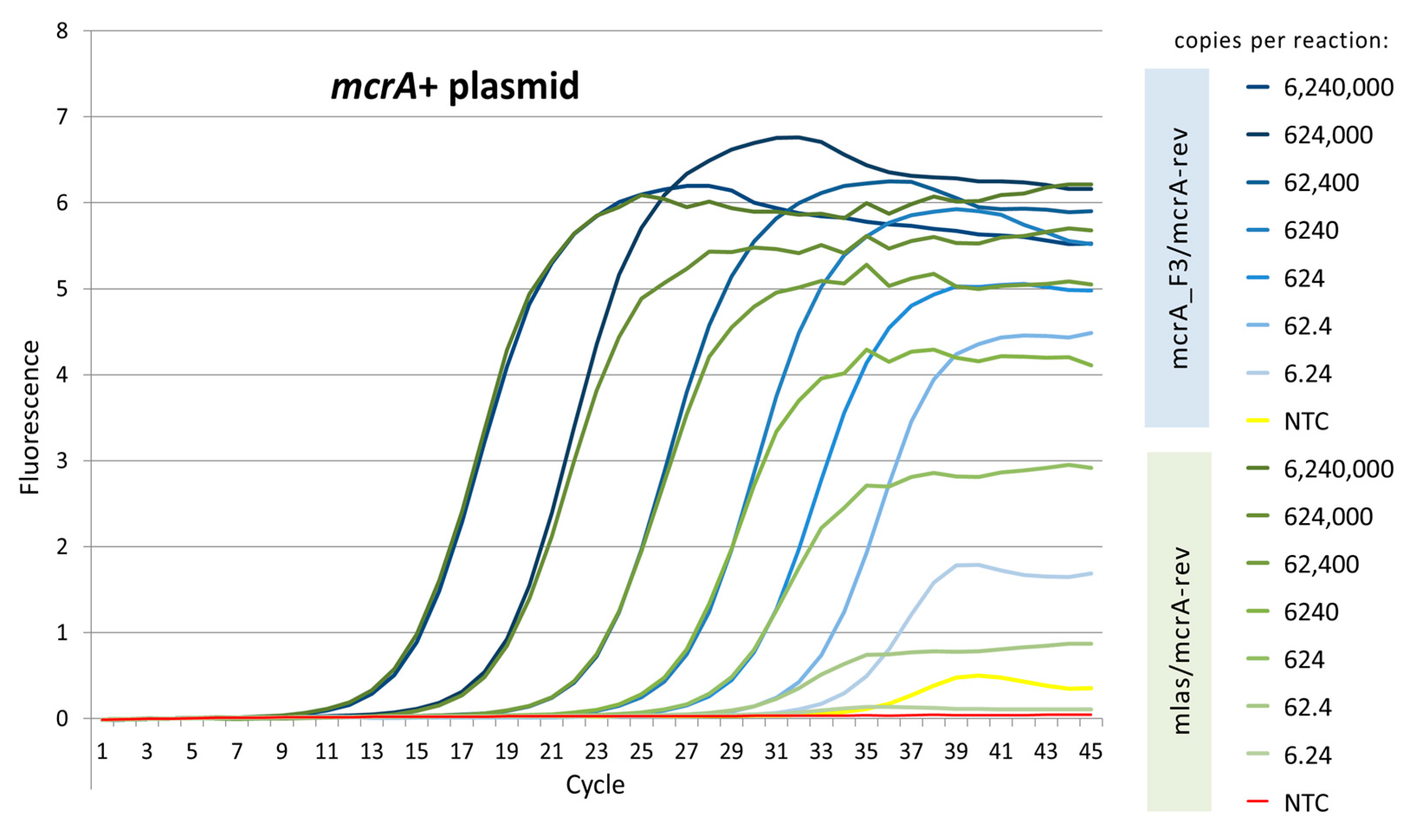 Microorganisms 11 00660 g001 Microorganisms 11 00660 g001