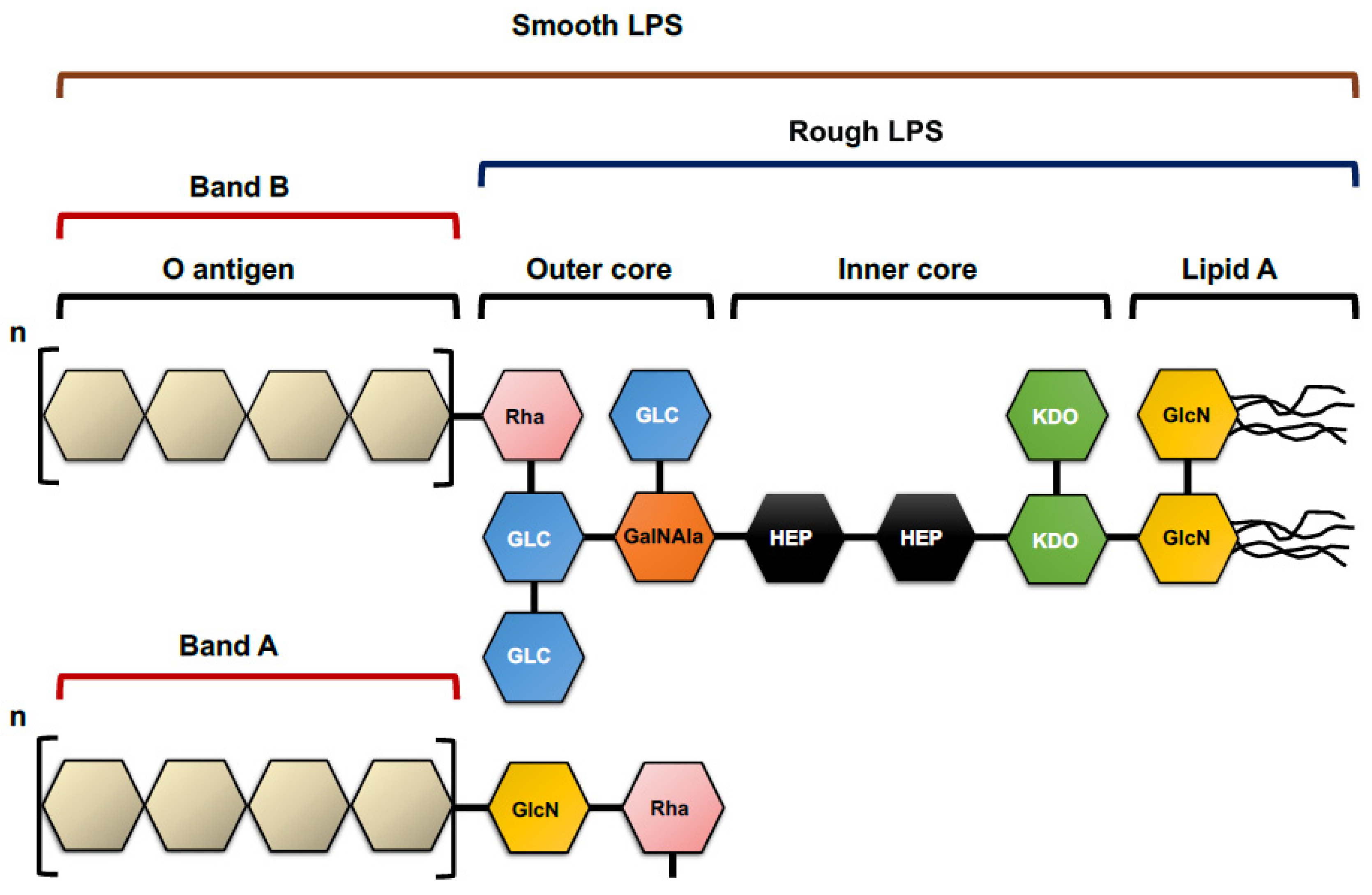 Microorganisms 11 00664 g003 Microorganisms 11 00664 g003