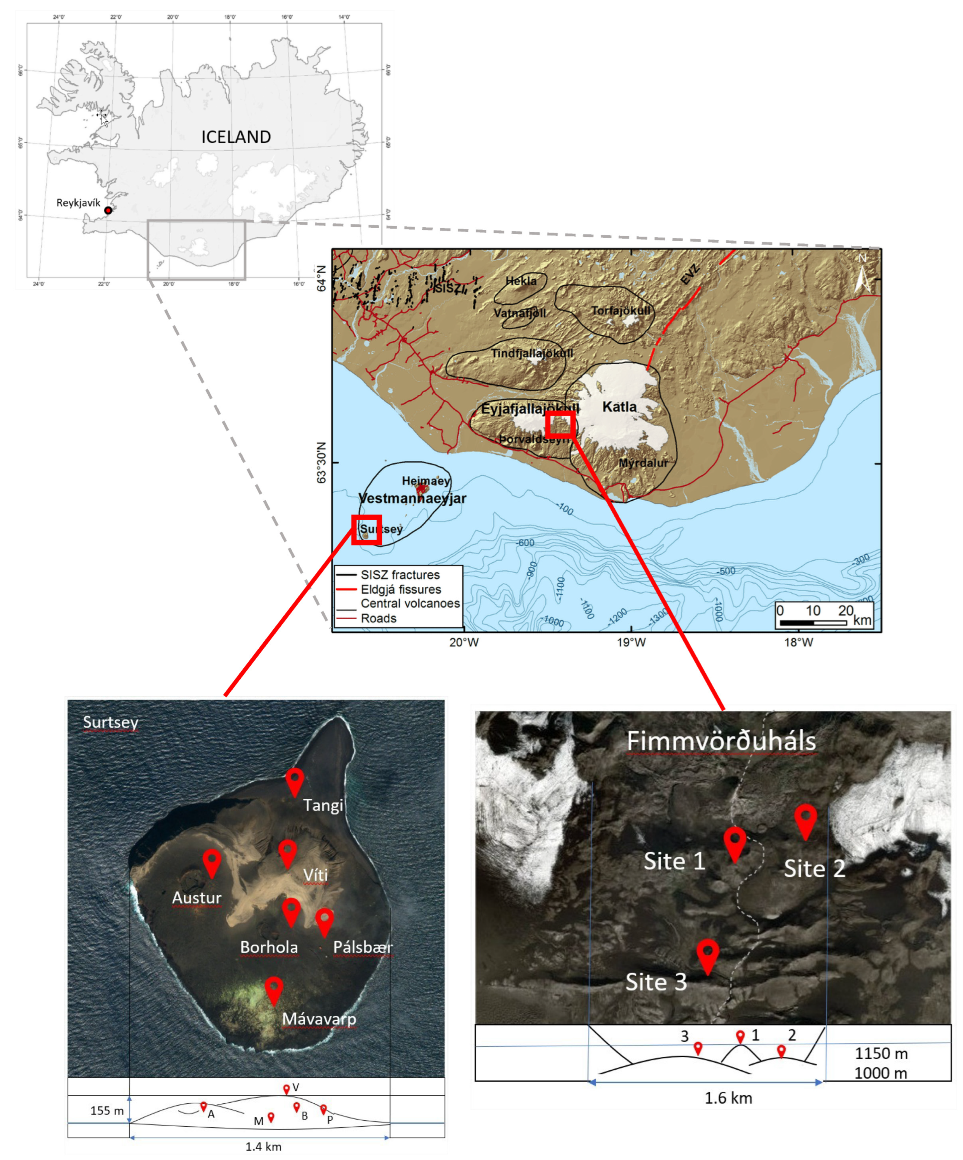 Microorganisms 11 00665 g001