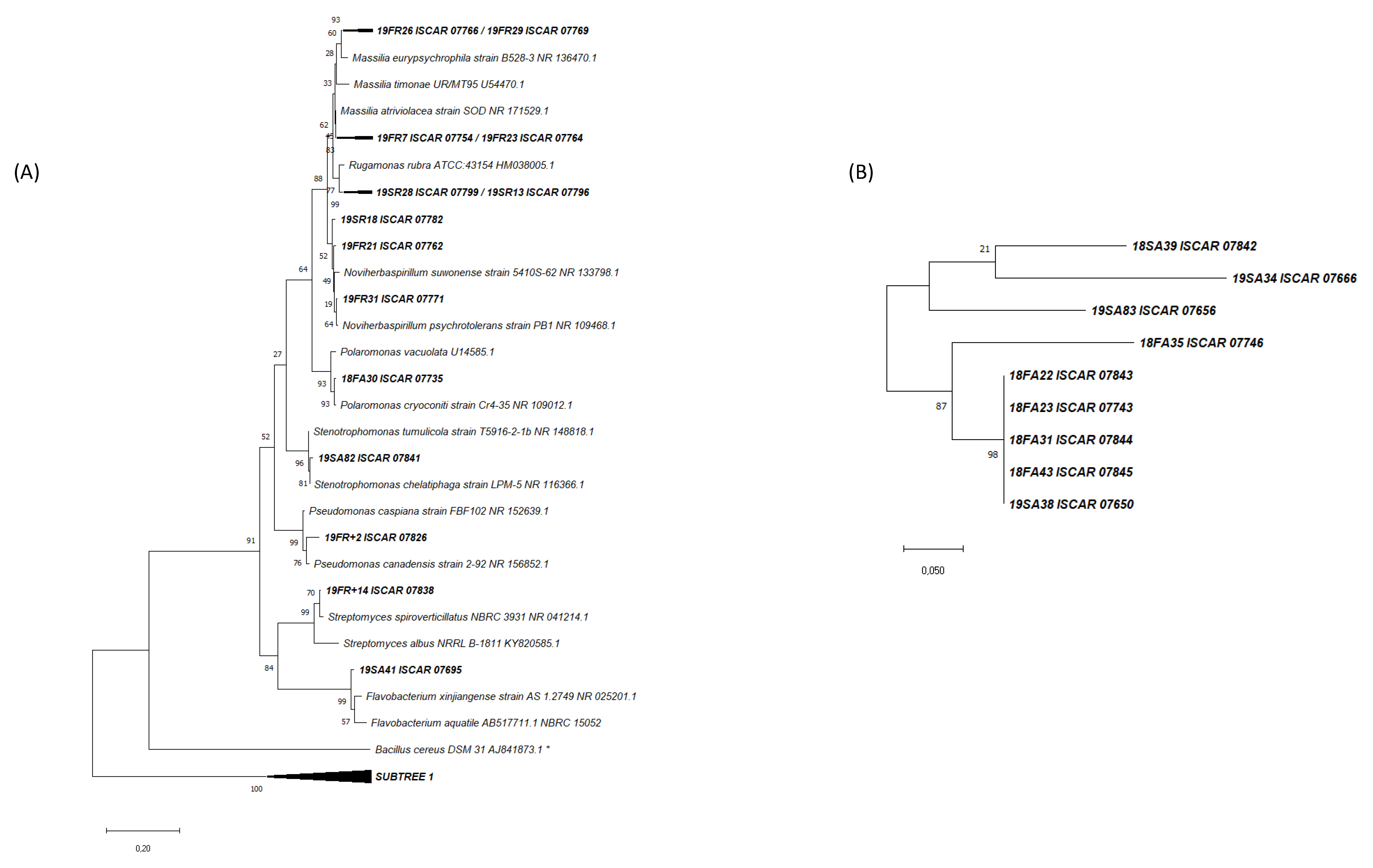 Microorganisms 11 00665 g003