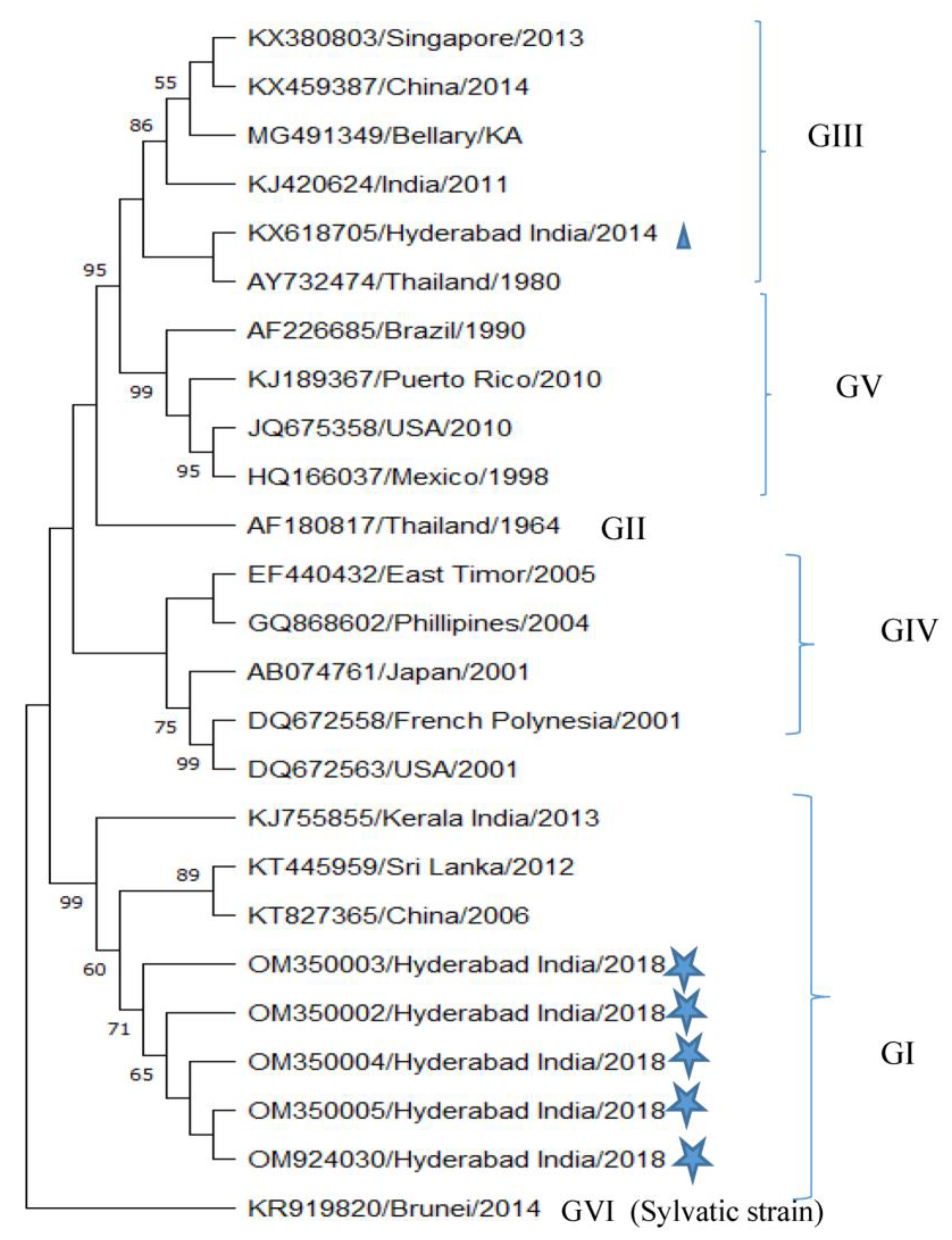 Microorganisms 11 00666 g002 Microorganisms 11 00666 g002