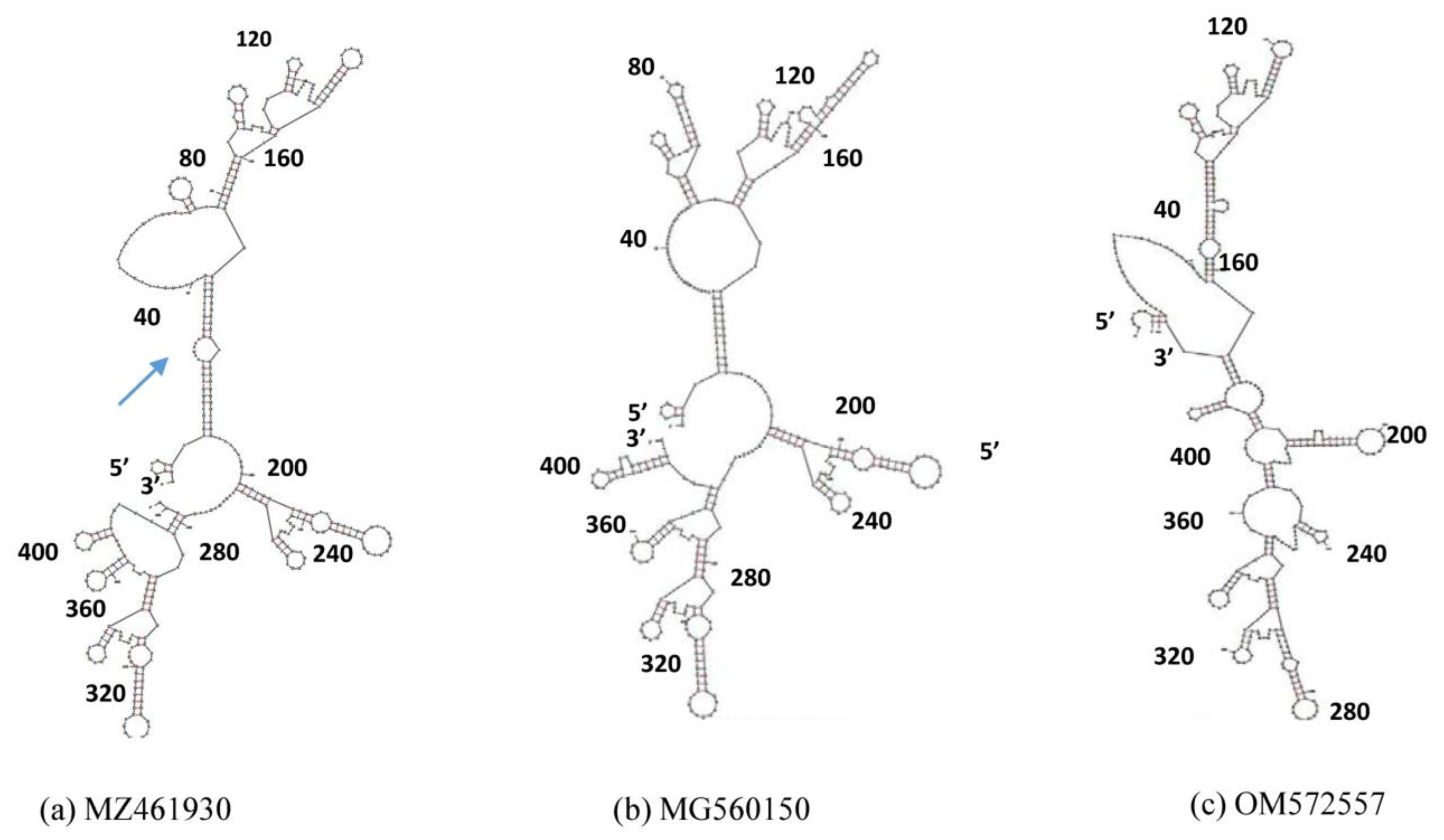 Microorganisms 11 00666 g006 Microorganisms 11 00666 g006