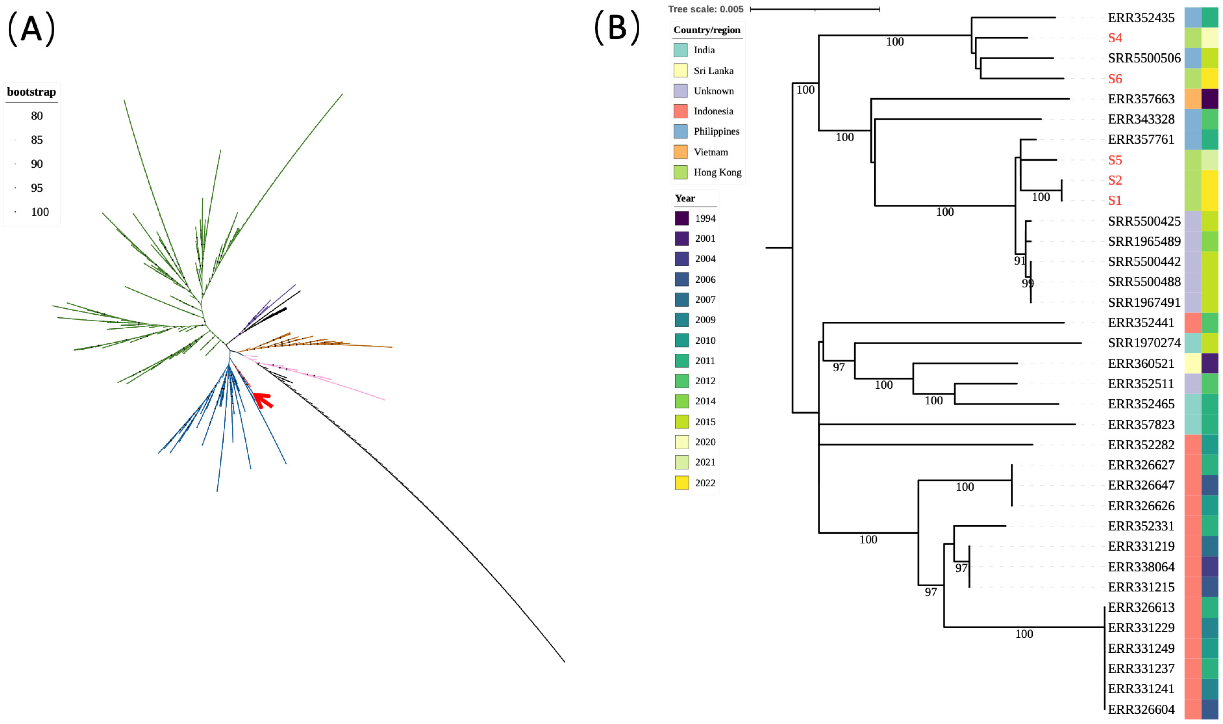 Microorganisms 11 00667 g002 Microorganisms 11 00667 g002