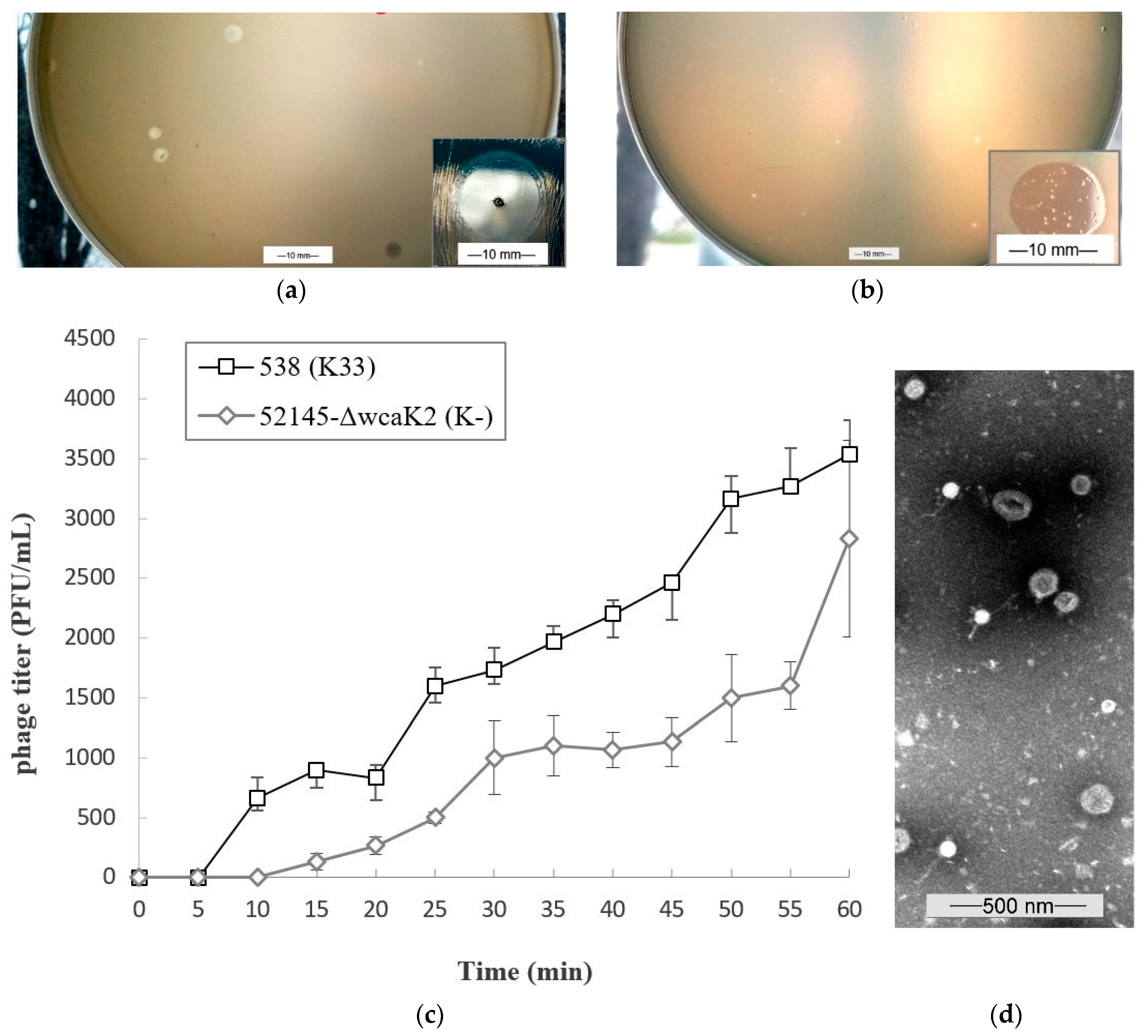 Microorganisms 11 00669 g001 Microorganisms 11 00669 g001