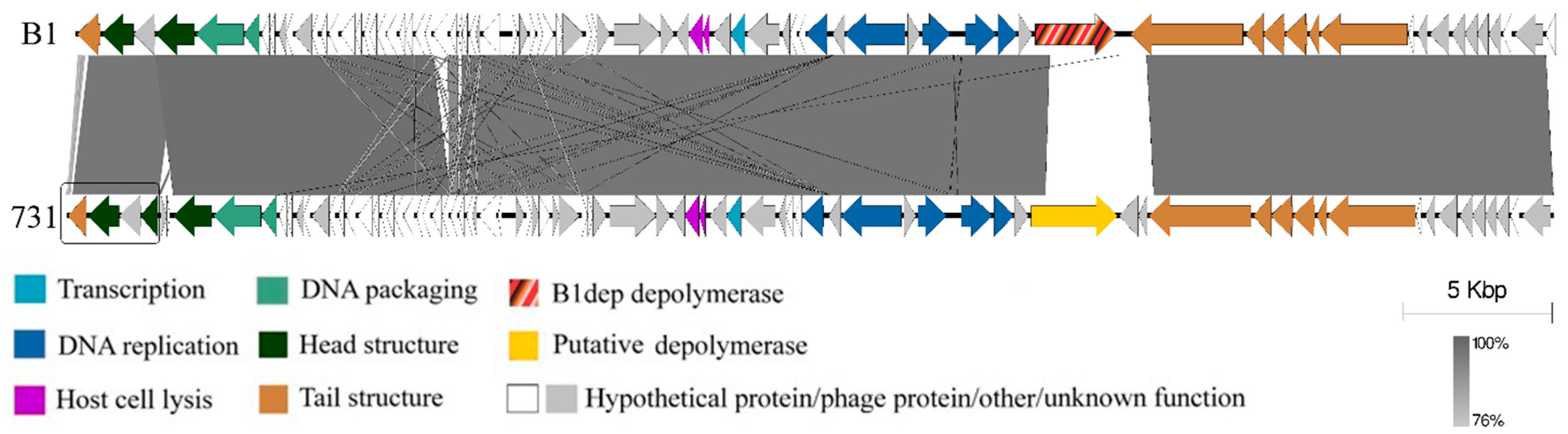 Microorganisms 11 00669 g004 Microorganisms 11 00669 g004
