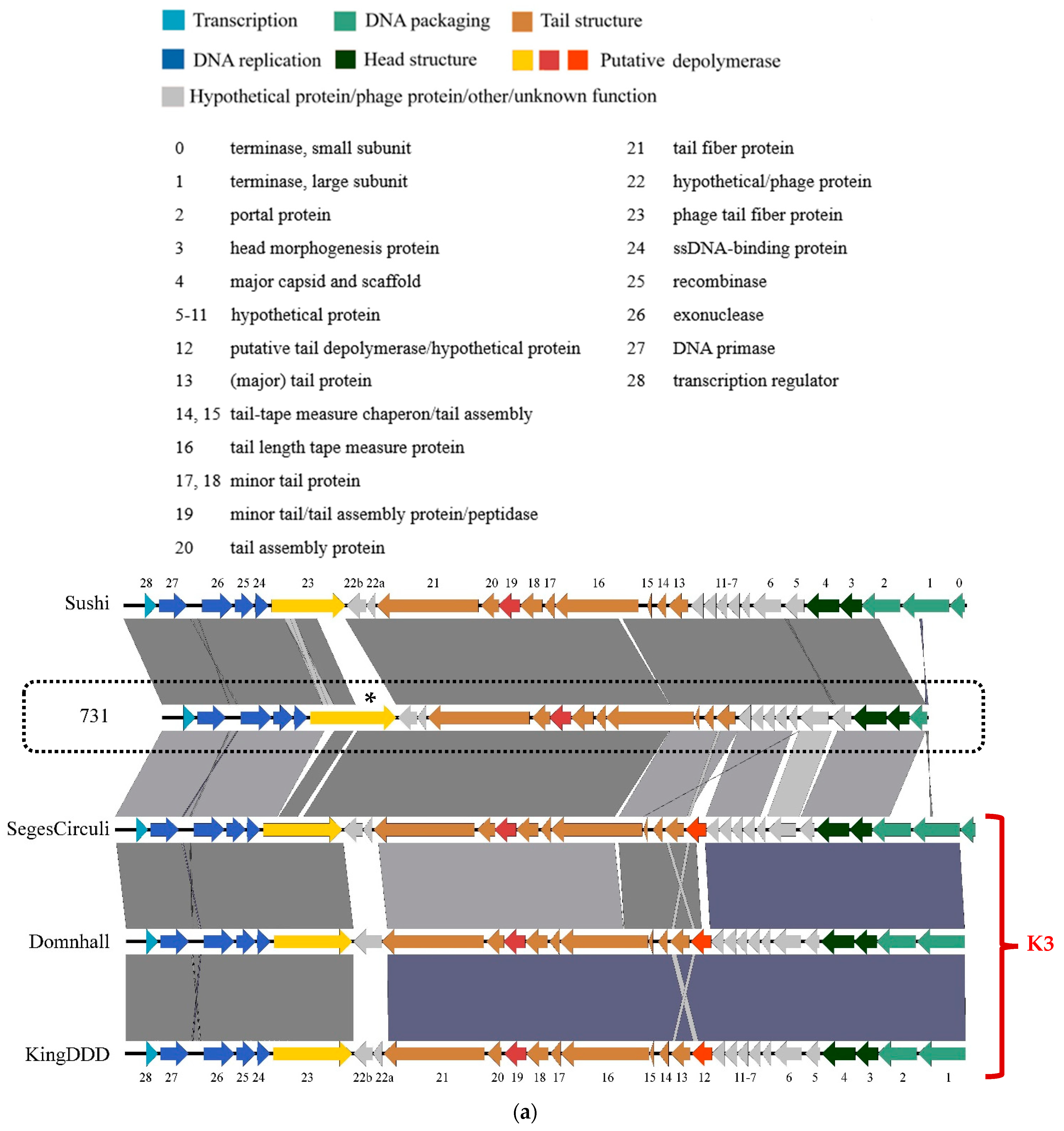 Microorganisms 11 00669 g006a Microorganisms 11 00669 g006a
