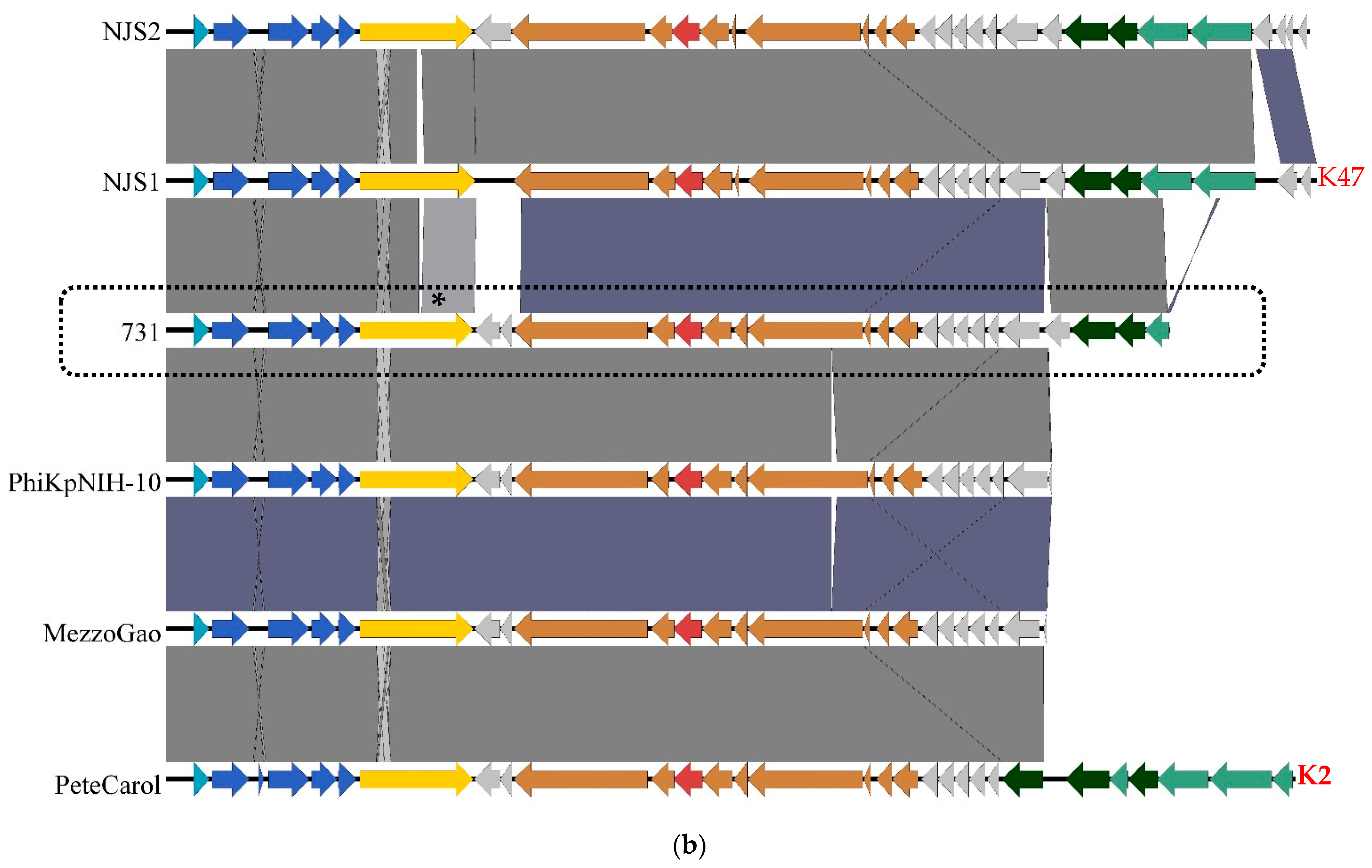 Microorganisms 11 00669 g006b Microorganisms 11 00669 g006b