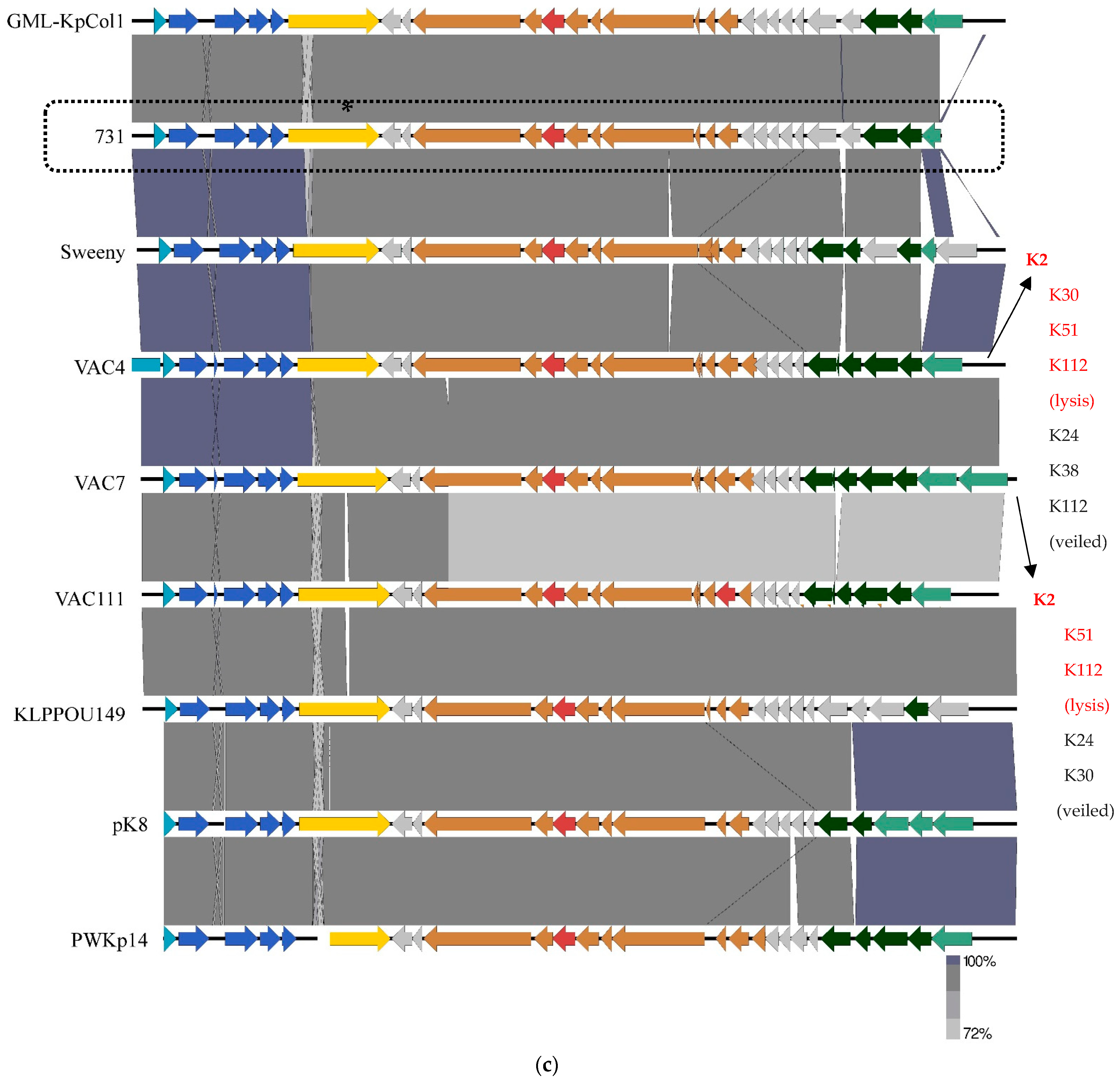 Microorganisms 11 00669 g006c Microorganisms 11 00669 g006c