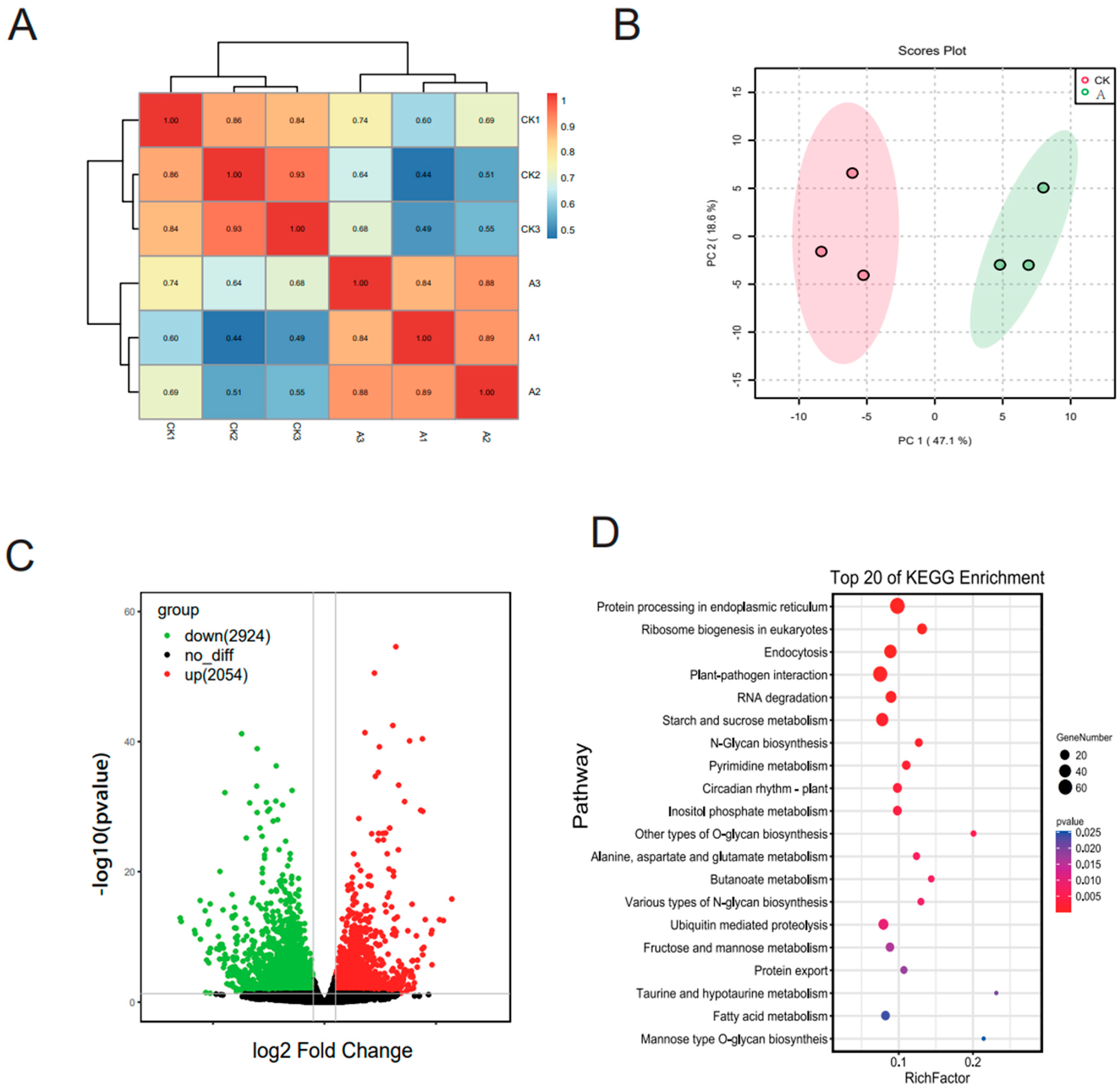 Microorganisms 11 00678 g002a Microorganisms 11 00678 g002a