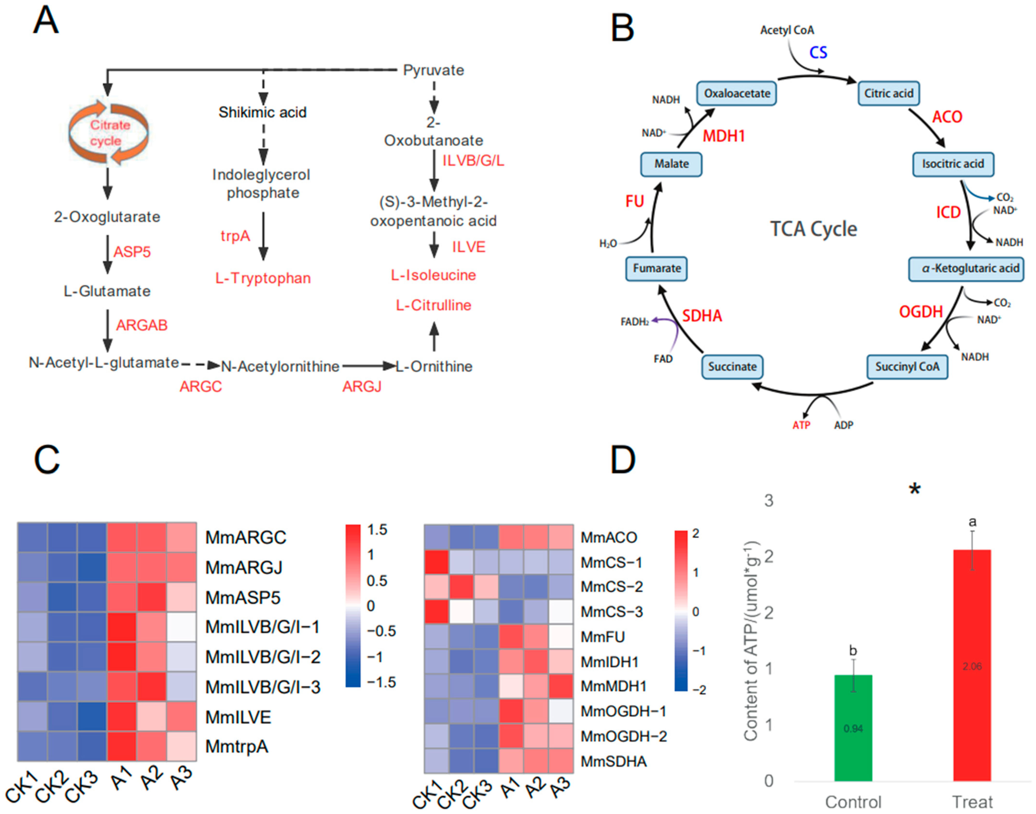 Microorganisms 11 00678 g004 Microorganisms 11 00678 g004