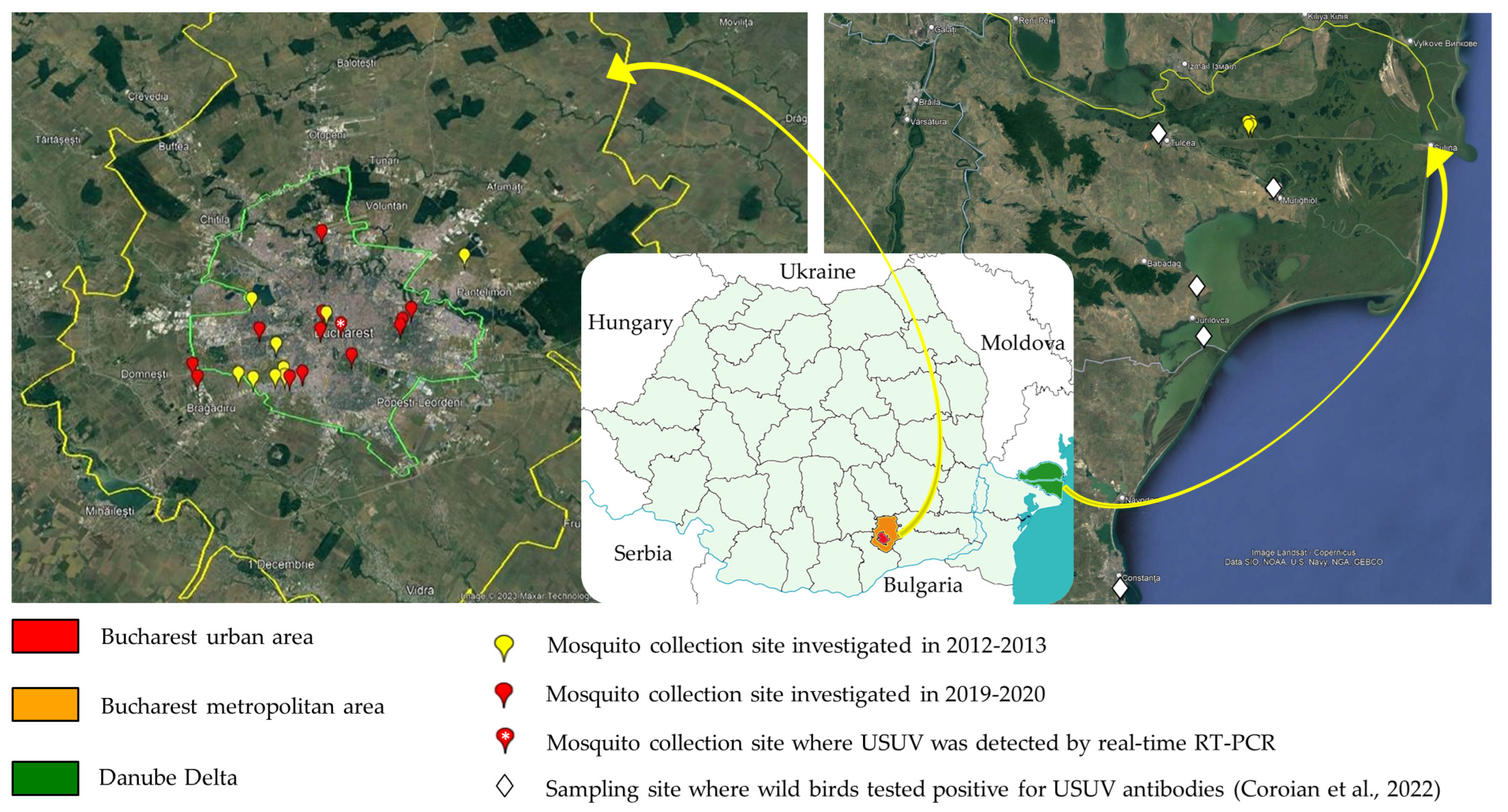 Microorganisms 11 00684 g001 Microorganisms 11 00684 g001