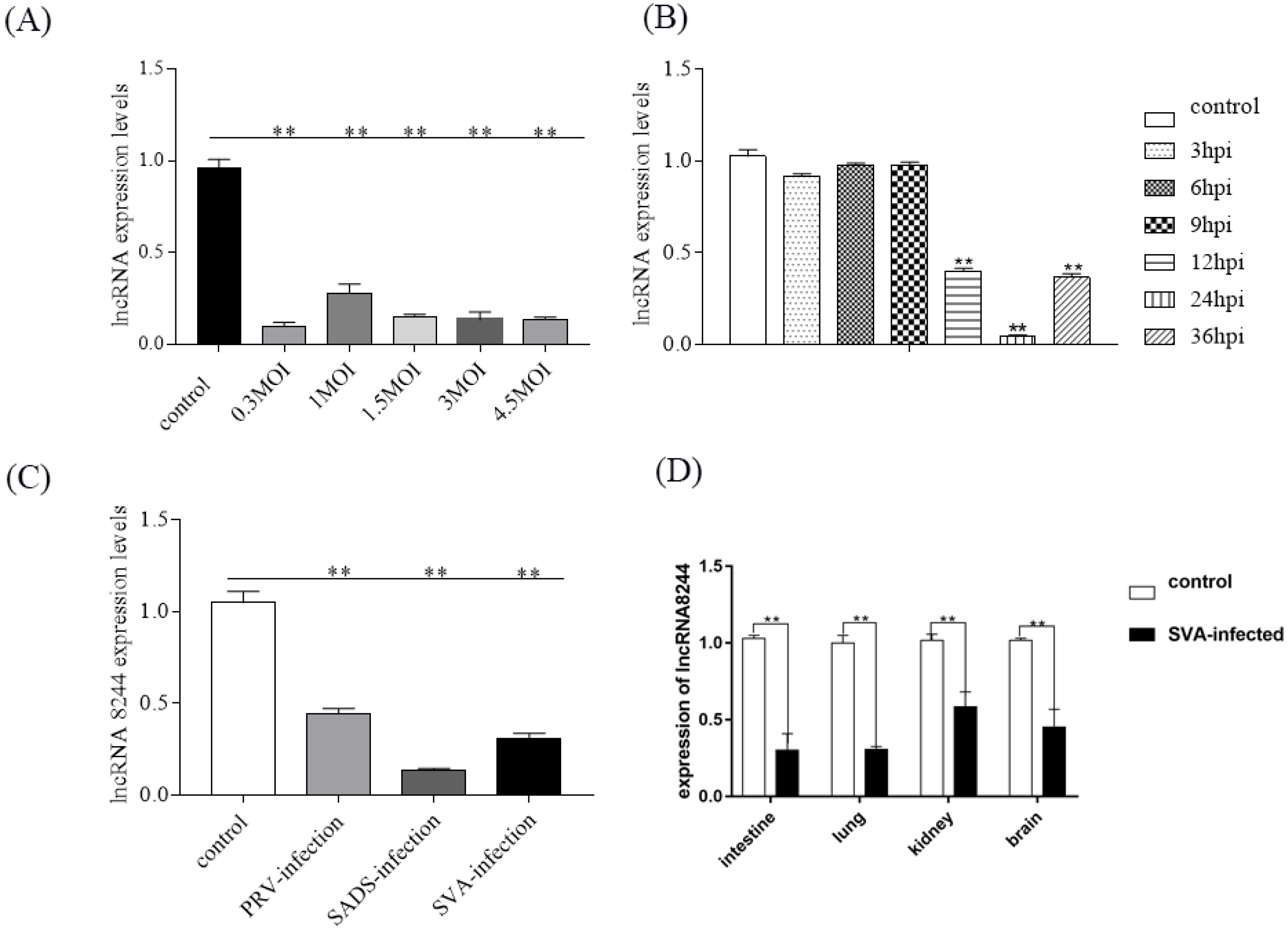 Microorganisms 11 00688 g001