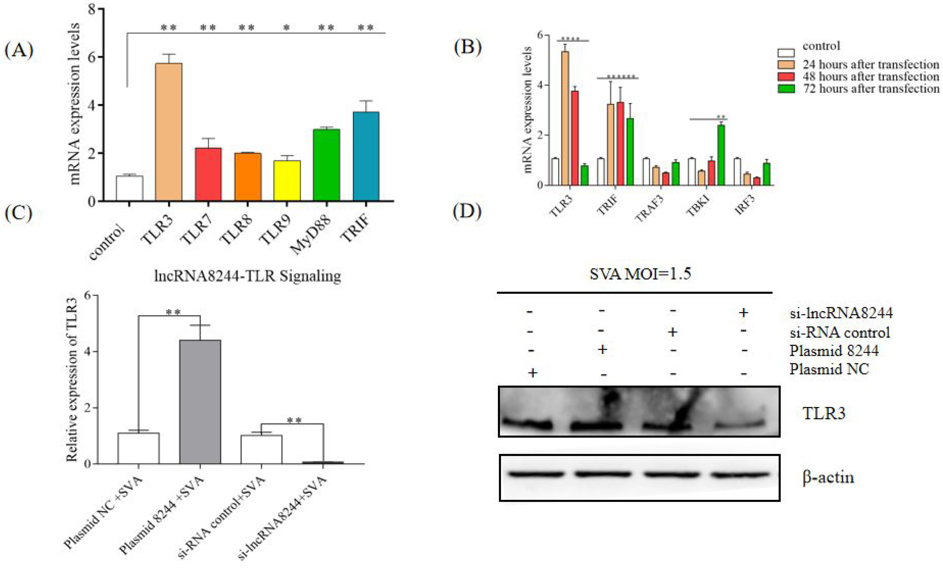 Microorganisms 11 00688 g003