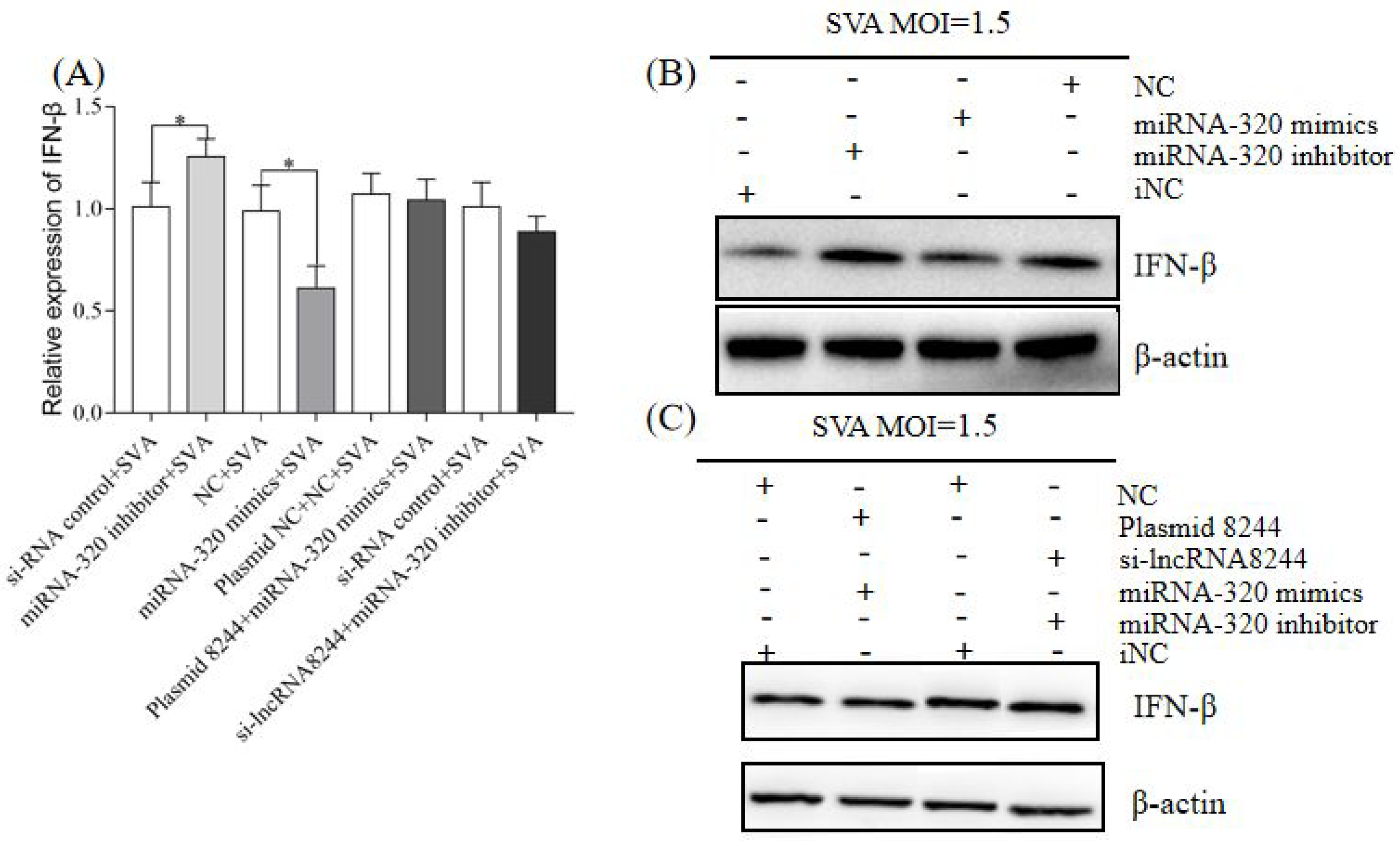 Microorganisms 11 00688 g005