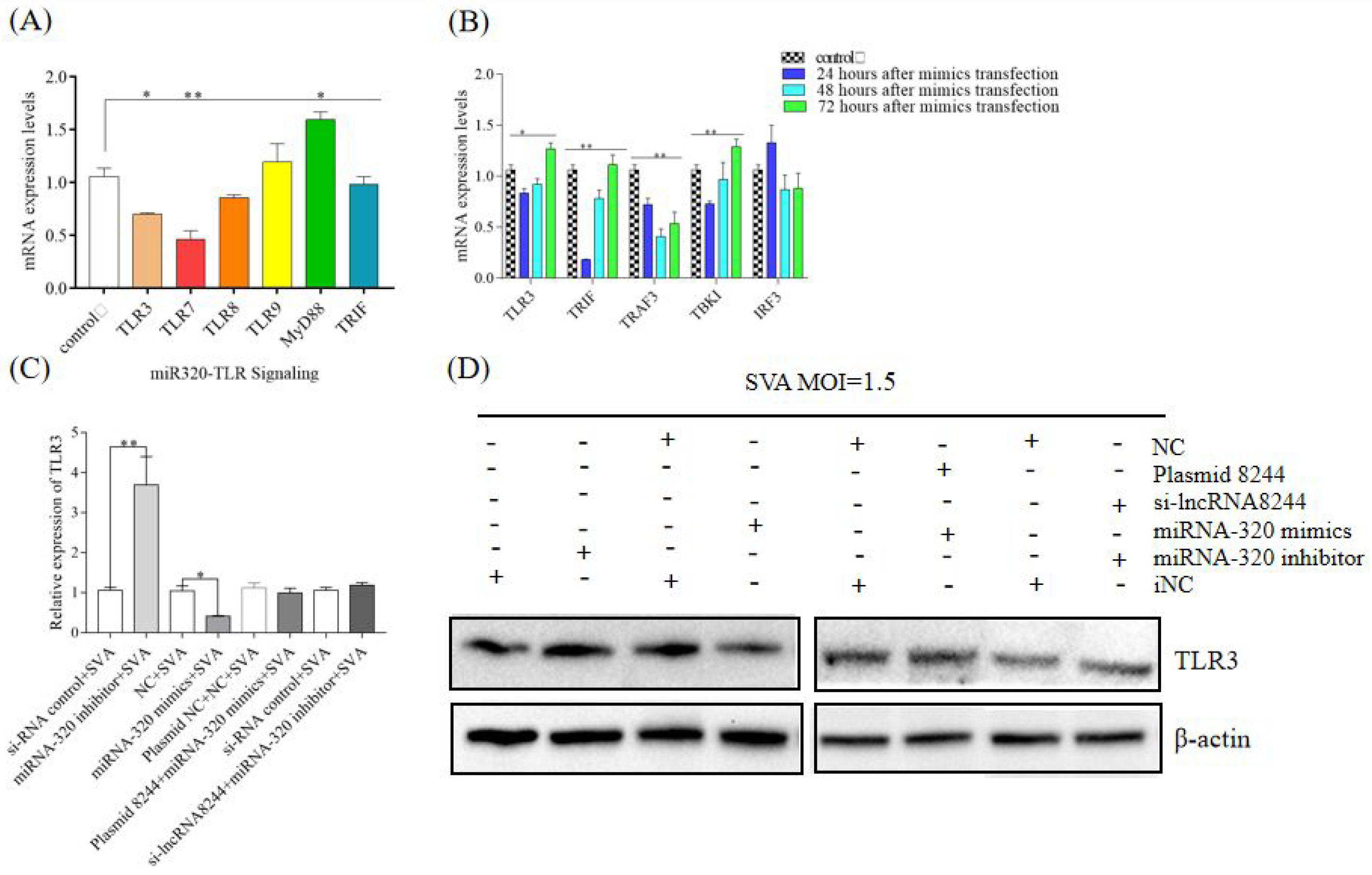 Microorganisms 11 00688 g006