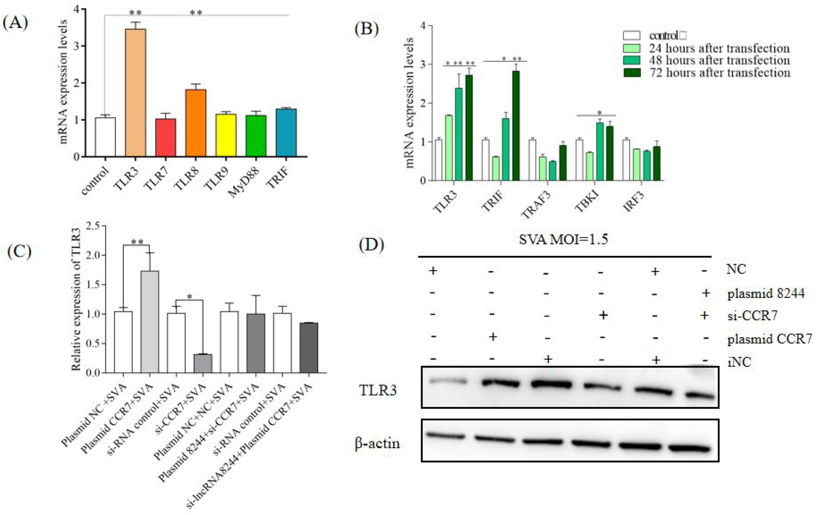 Microorganisms 11 00688 g009