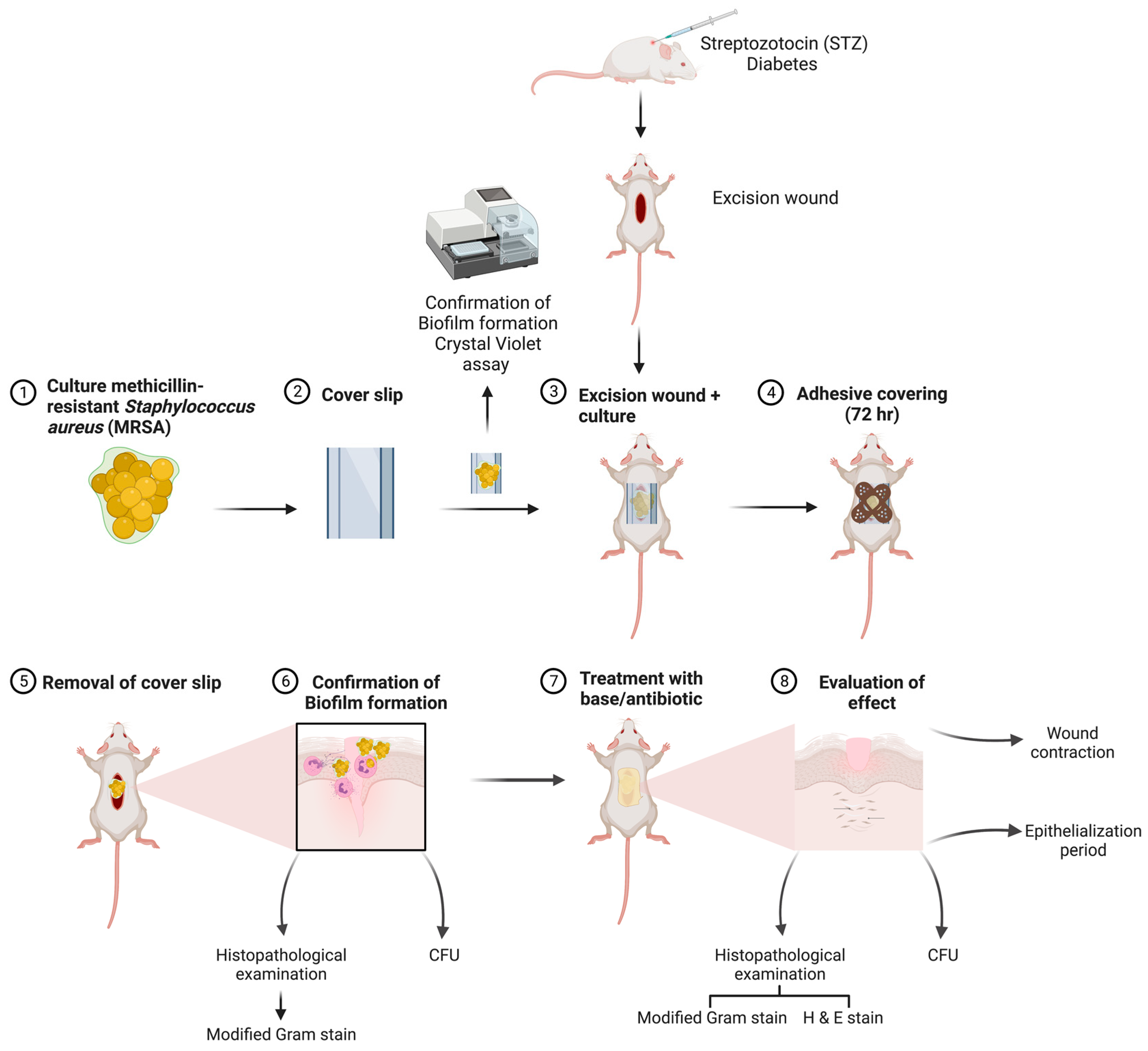 Microorganisms 11 00692 g001