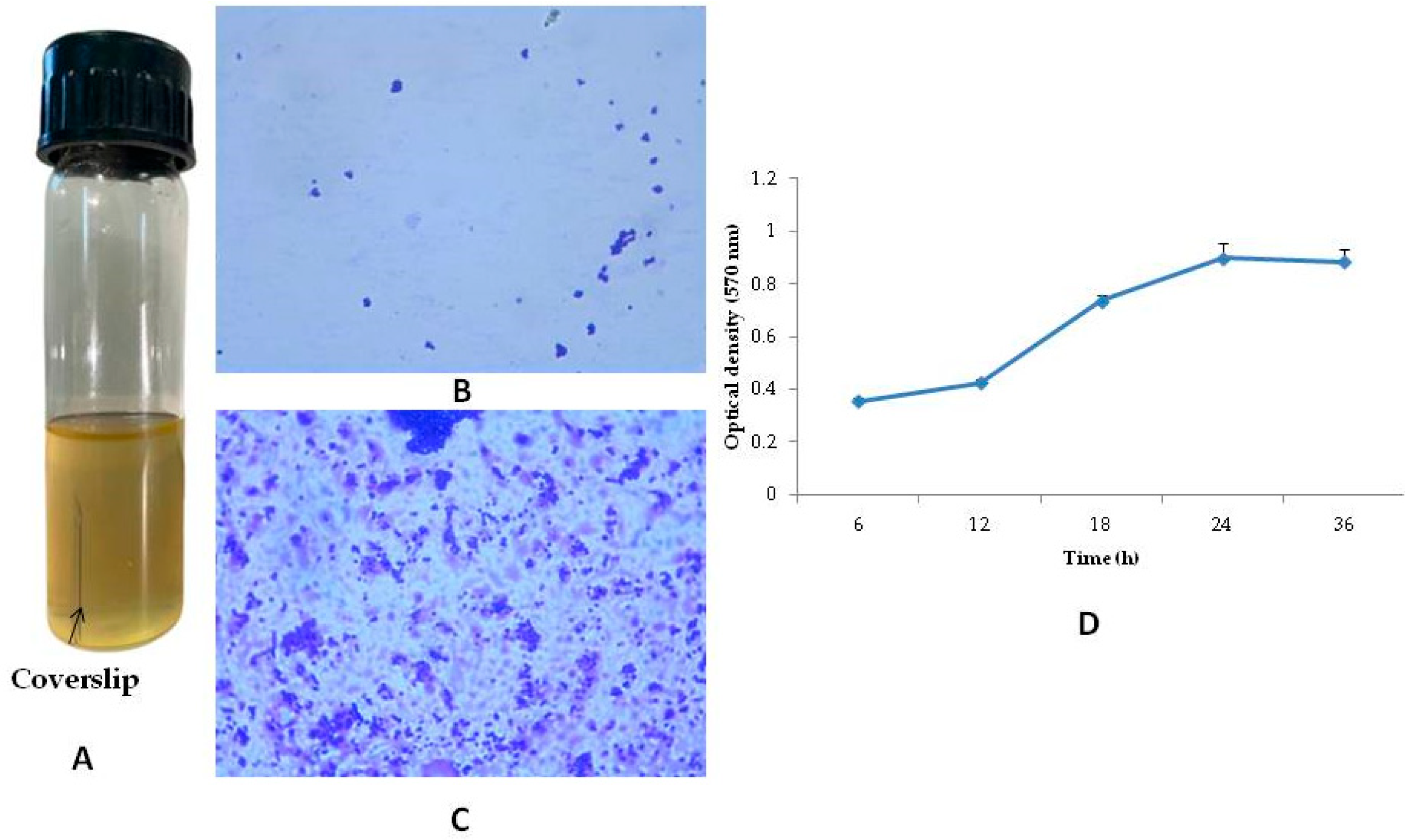 Microorganisms 11 00692 g003