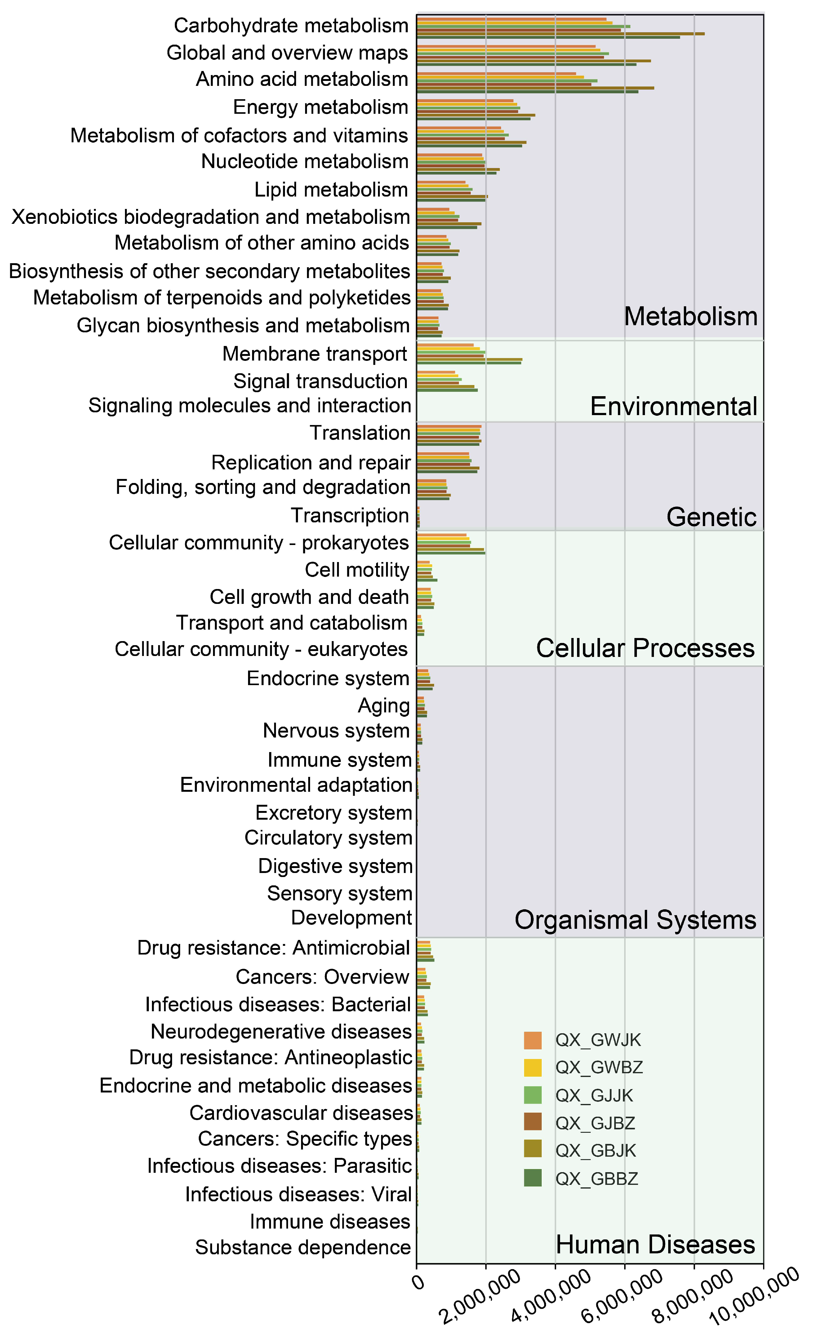 Microorganisms 11 00694 g007 Microorganisms 11 00694 g007