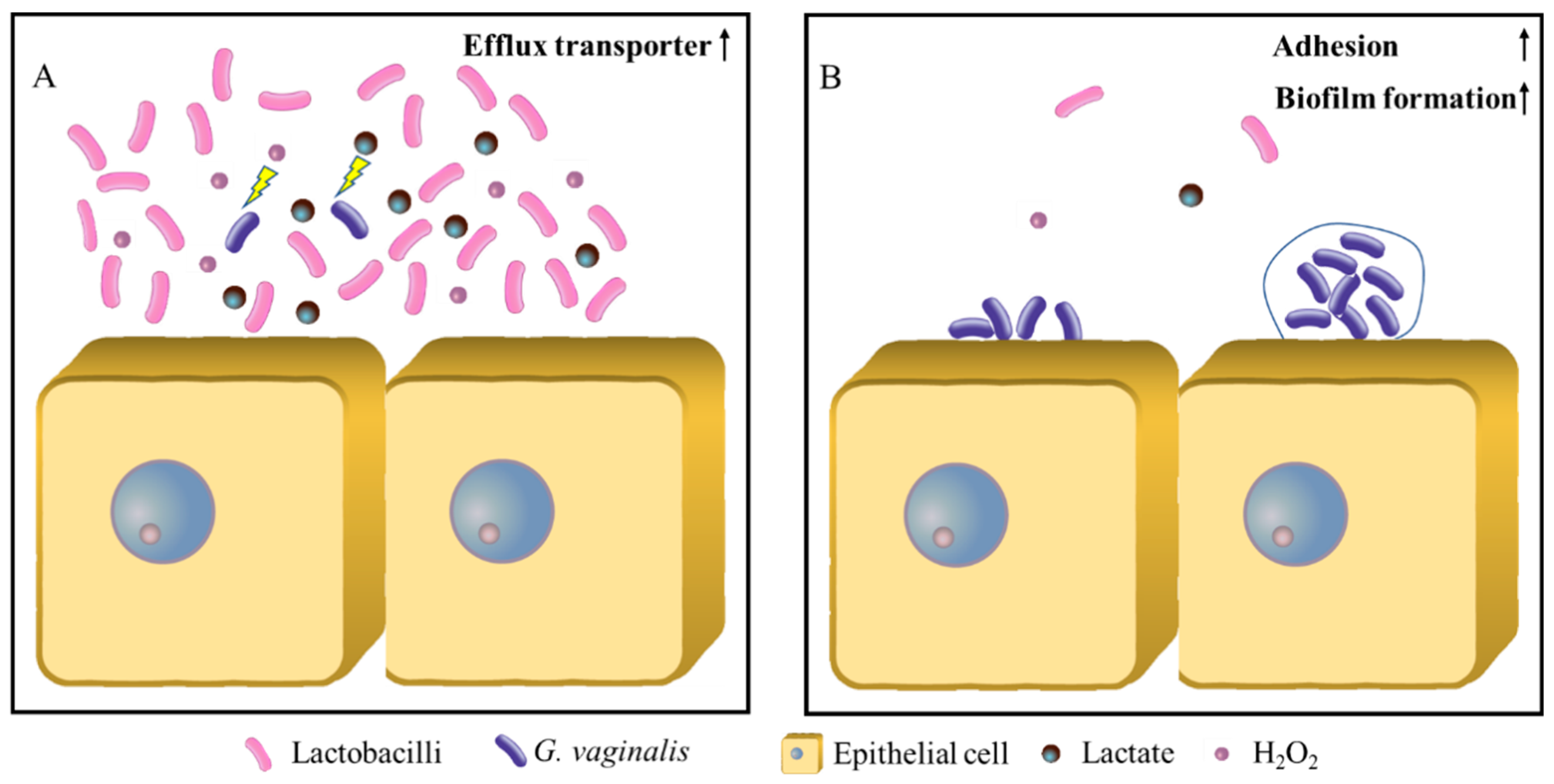 Microorganisms 11 00695 g003