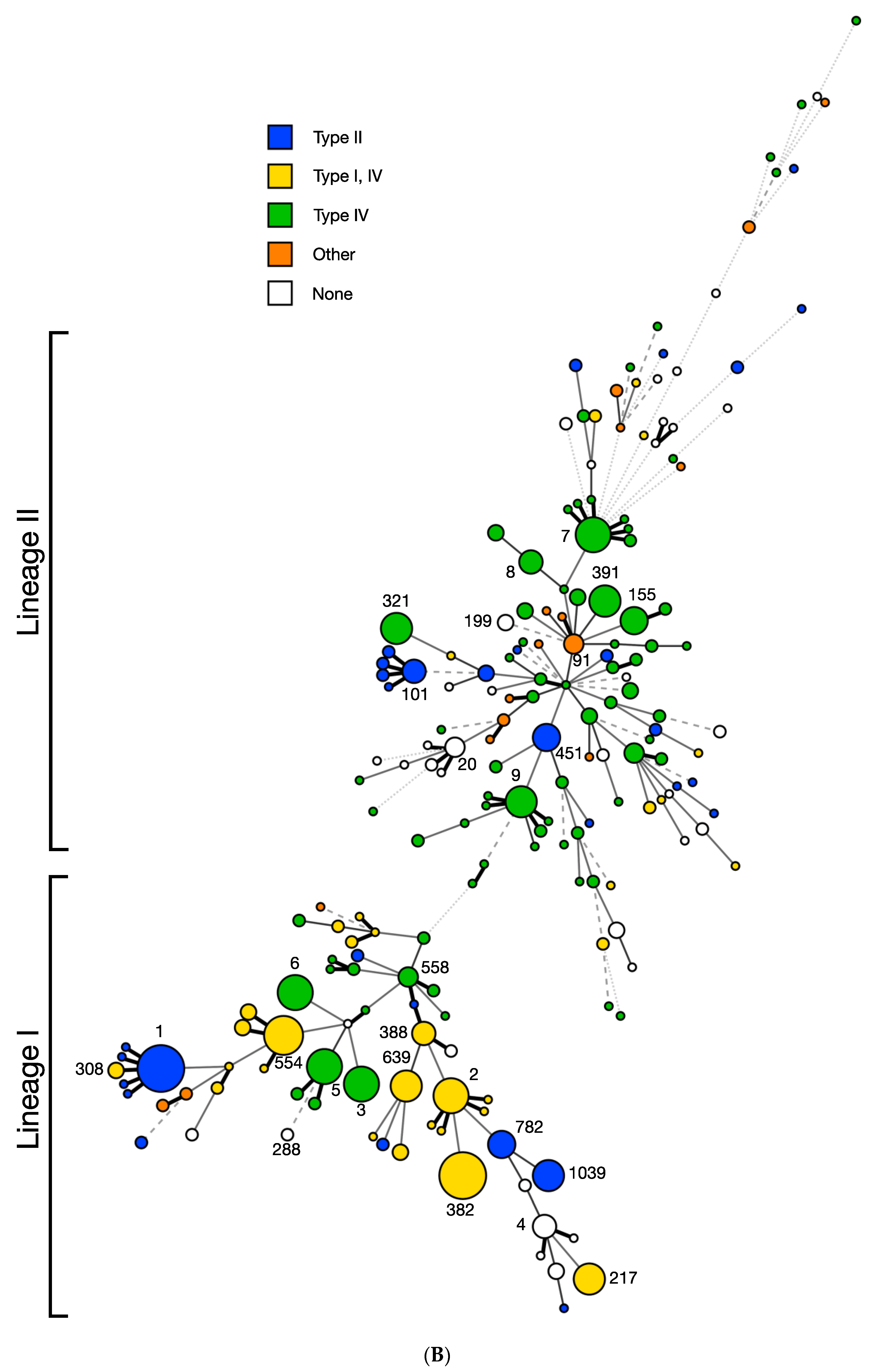 Microorganisms 11 00699 g003b Microorganisms 11 00699 g003b