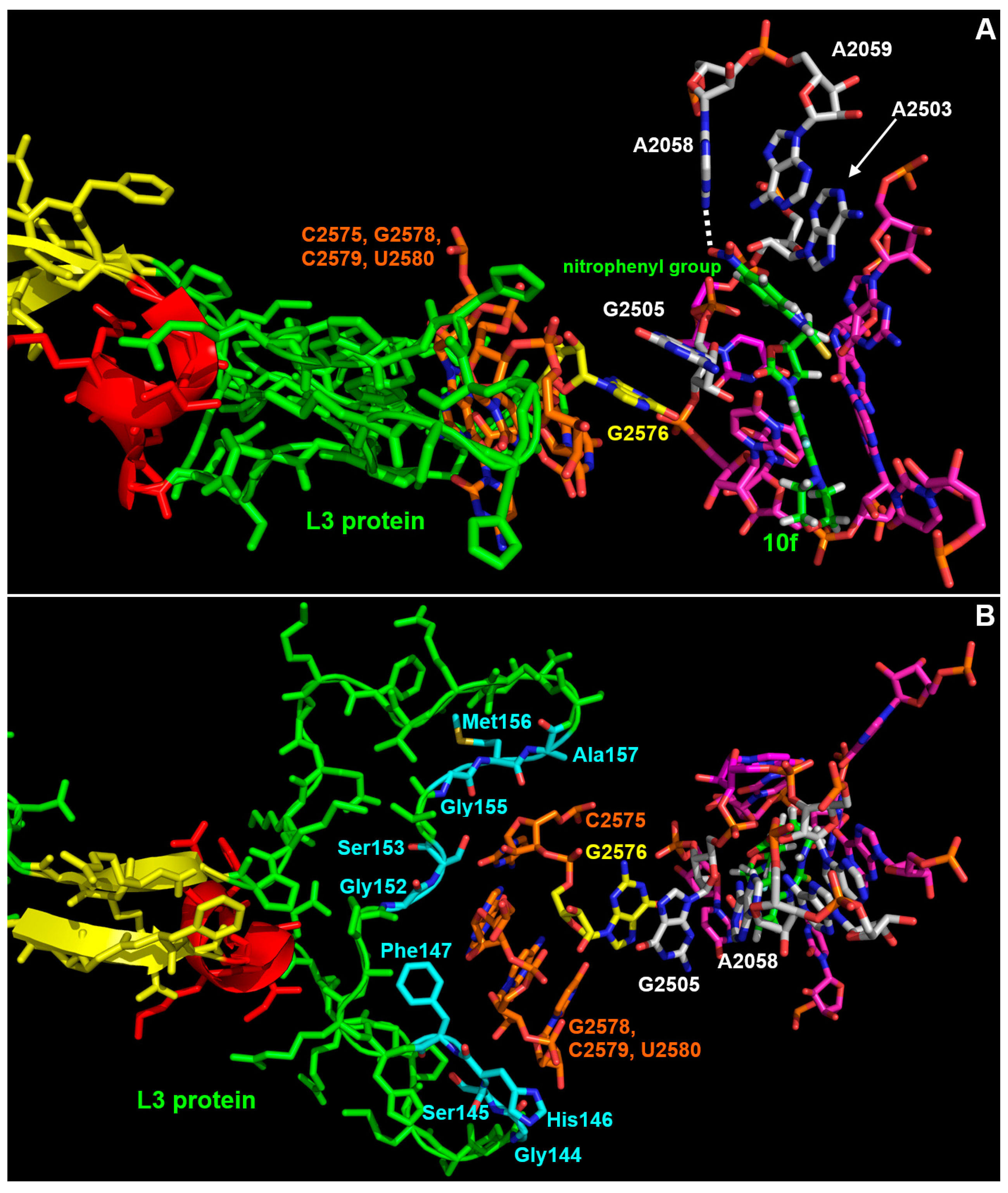 Microorganisms 11 00700 g004 Microorganisms 11 00700 g004