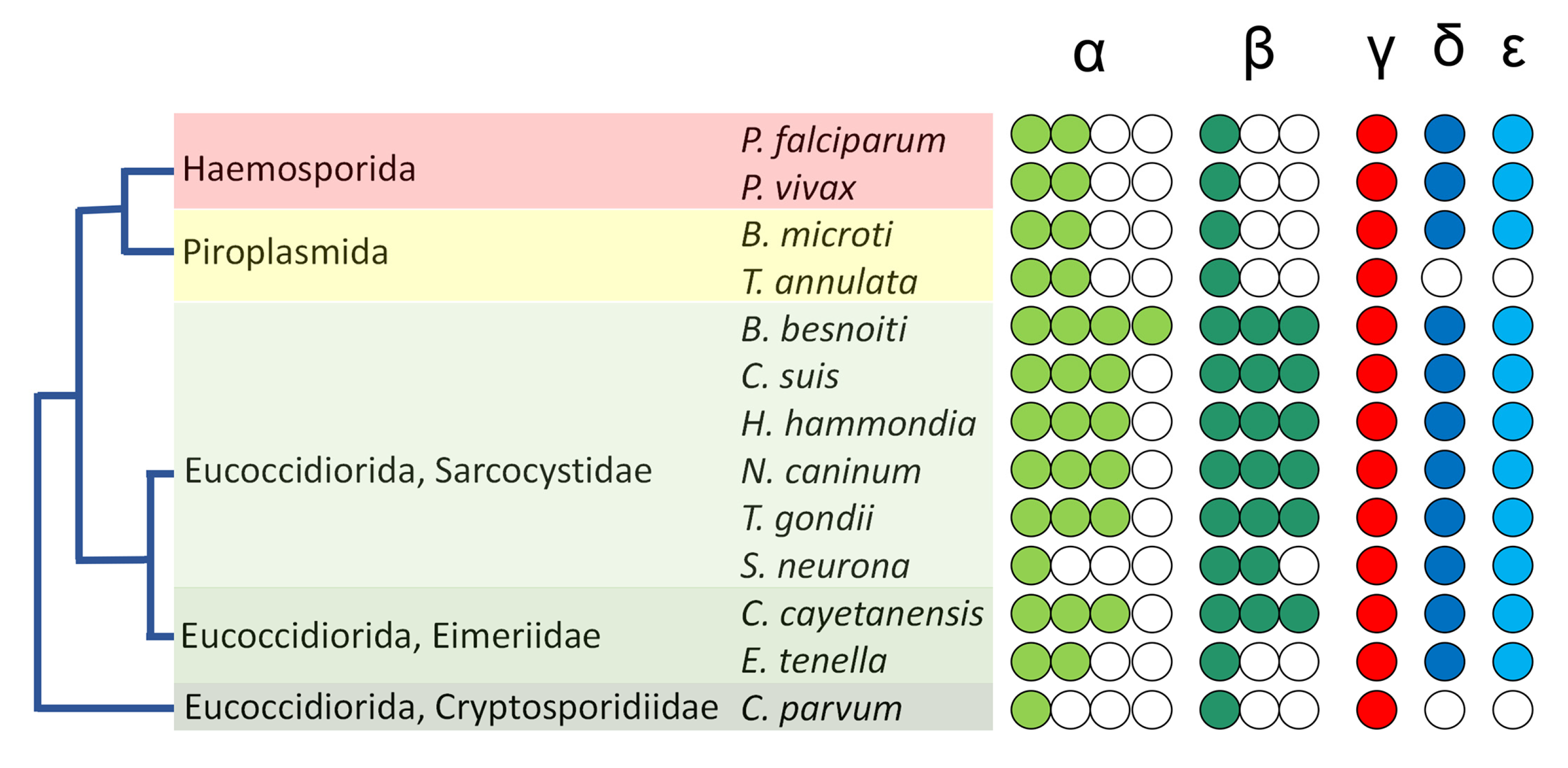 Microorganisms 11 00706 g002 Microorganisms 11 00706 g002