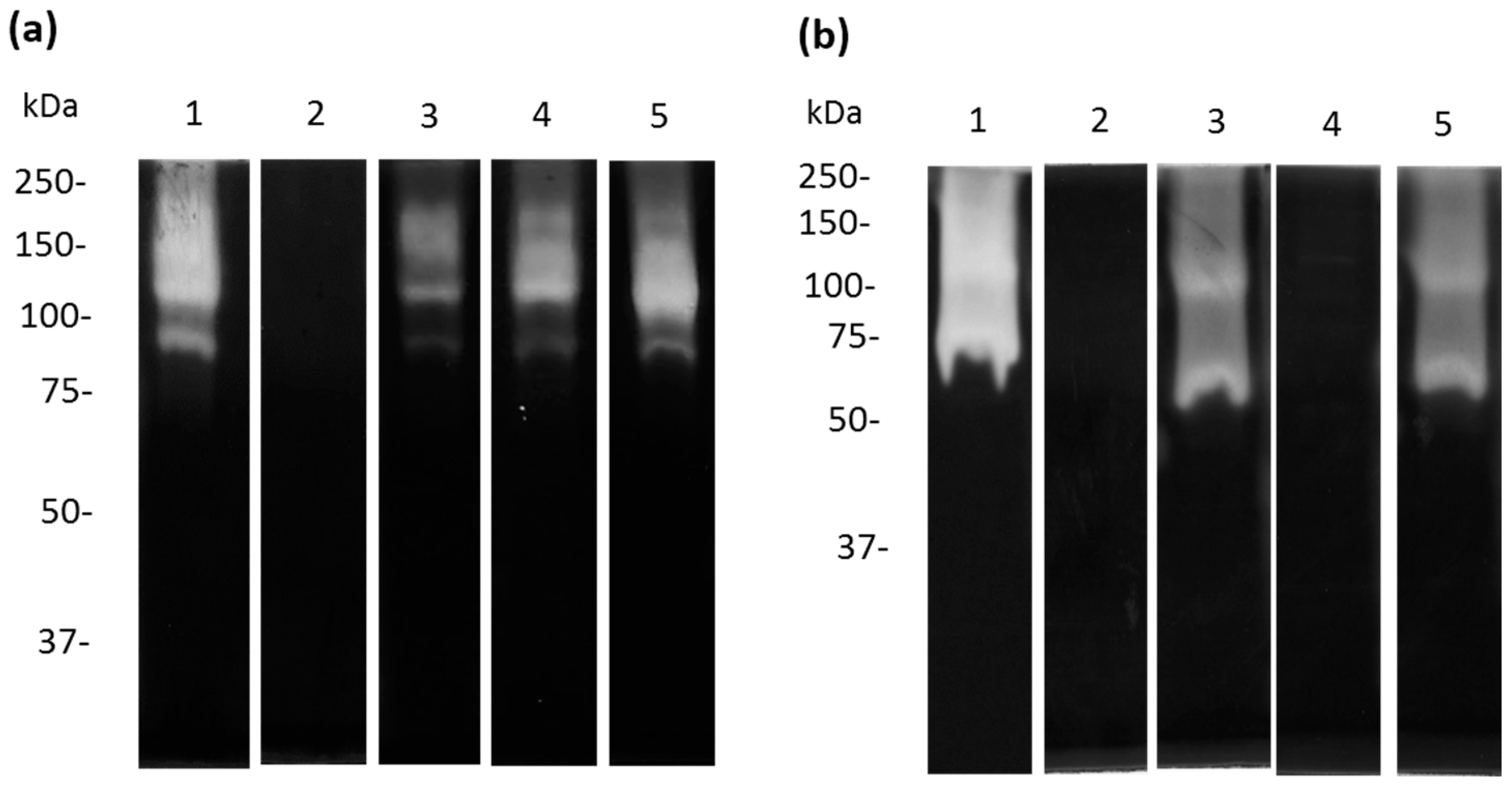 Microorganisms 11 00708 g006