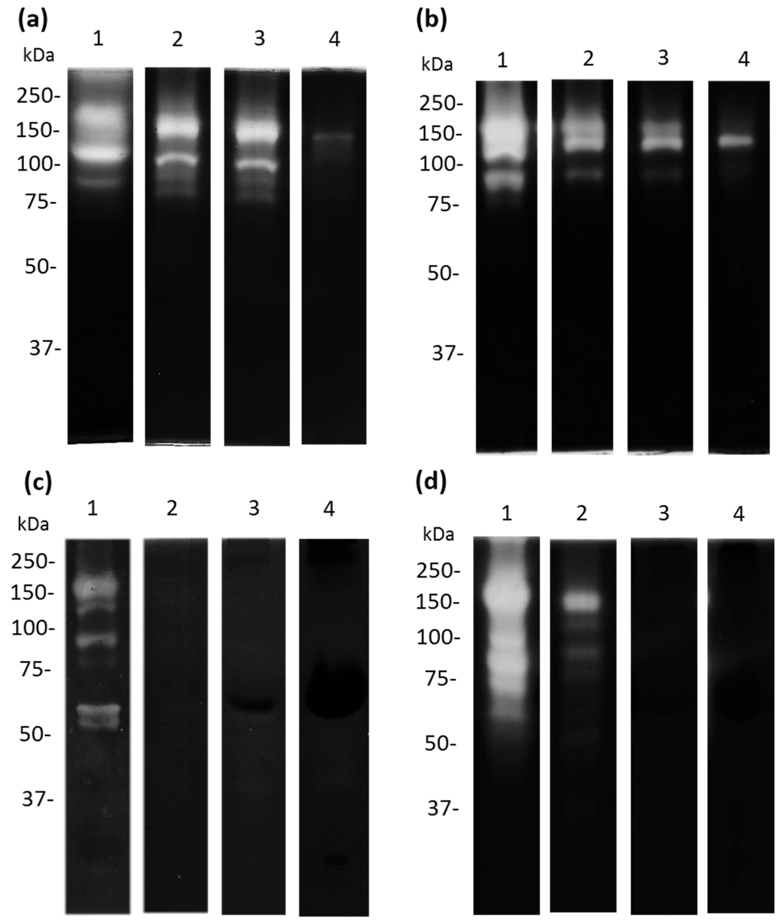 Microorganisms 11 00708 g007