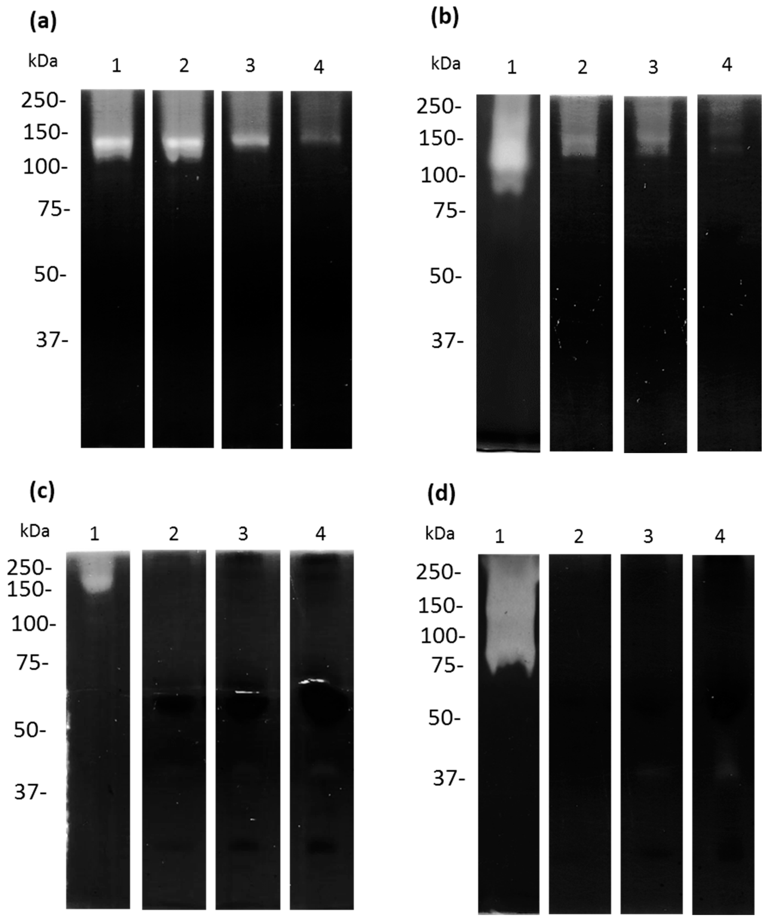 Microorganisms 11 00708 g008