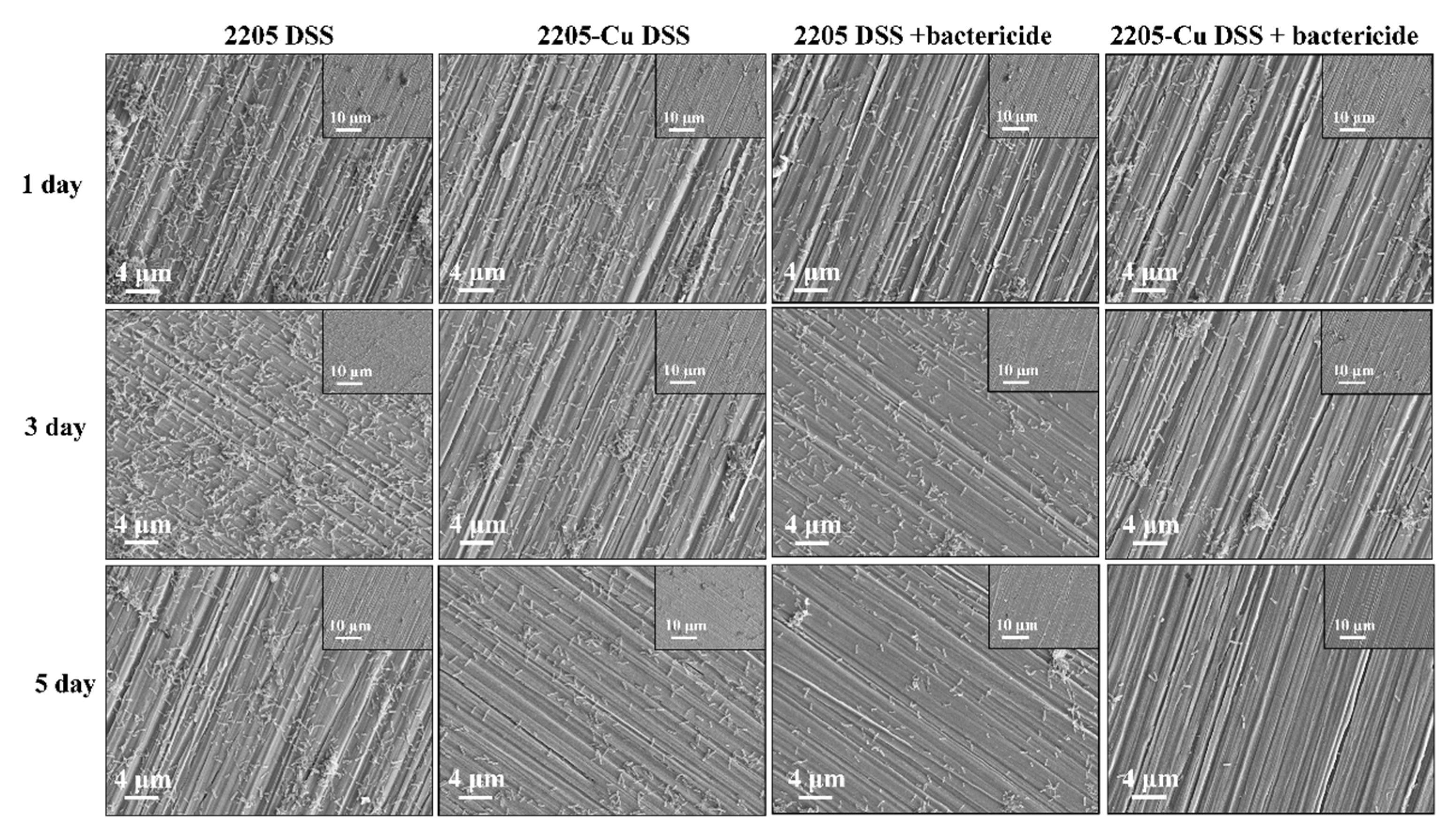 Microorganisms 11 00711 g004 Microorganisms 11 00711 g004