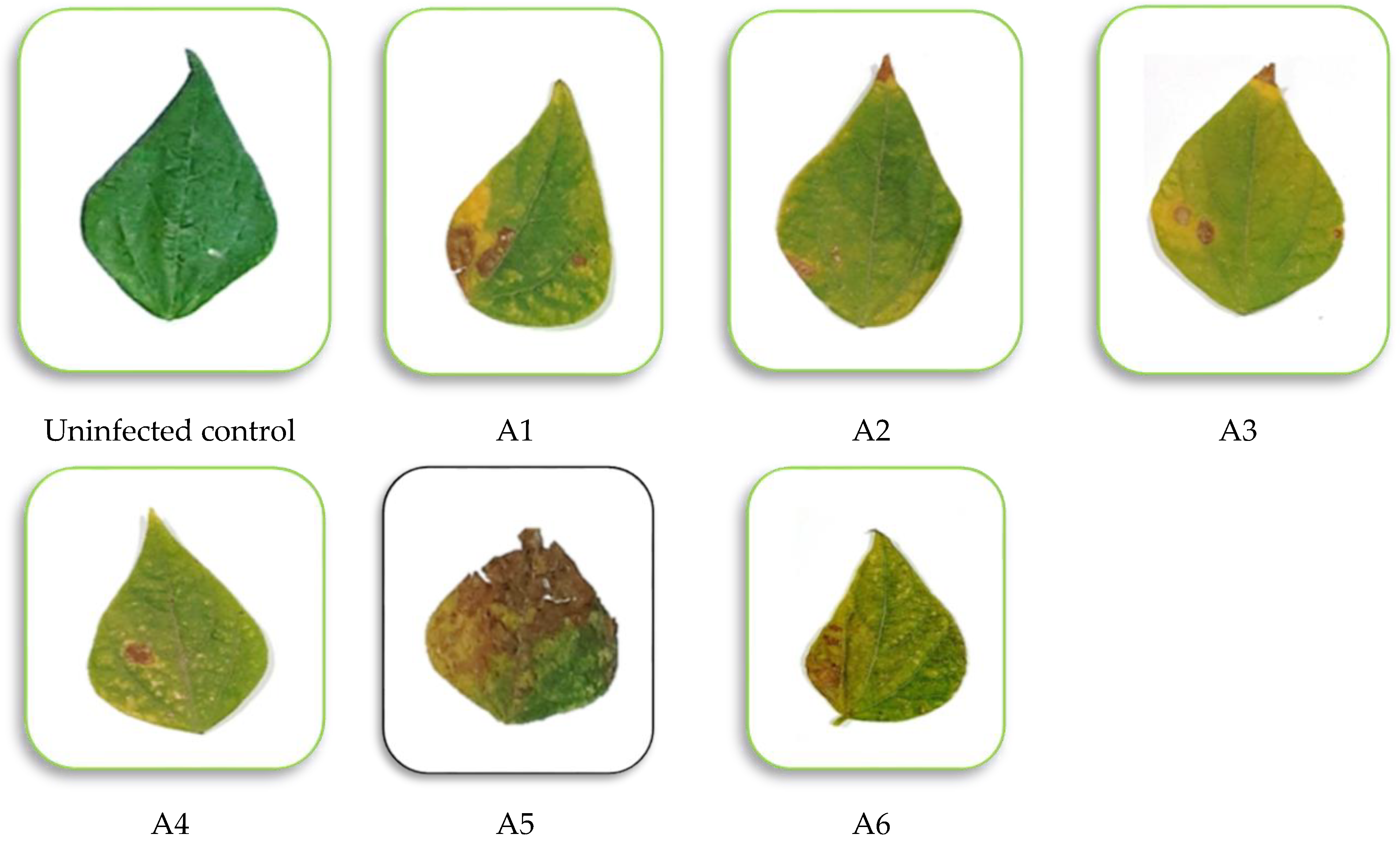 Microorganisms 11 00728 g002 Microorganisms 11 00728 g002