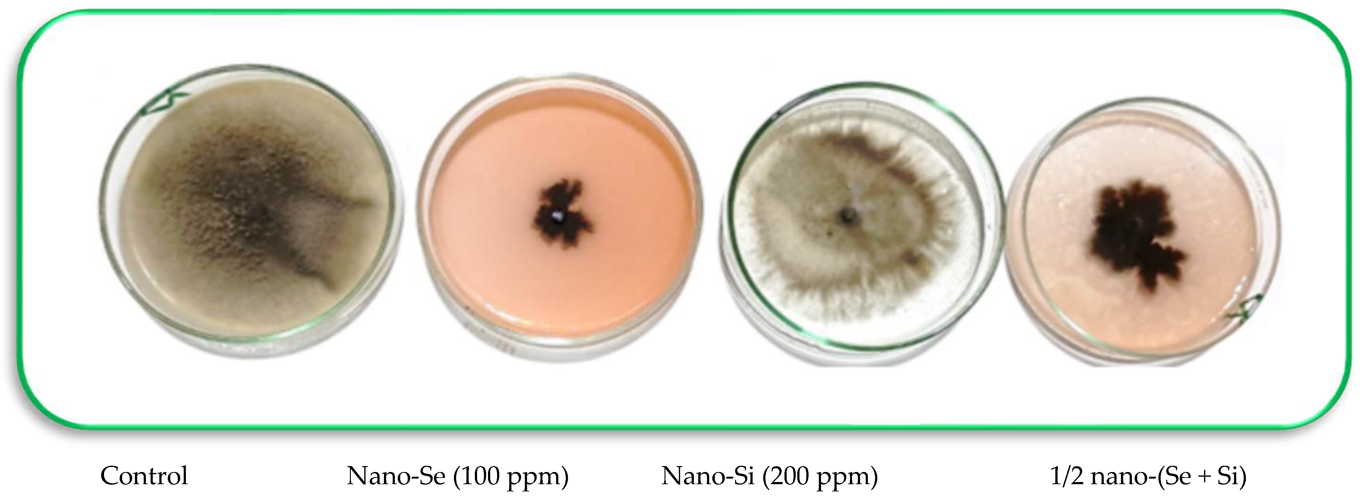 Microorganisms 11 00728 g003 Microorganisms 11 00728 g003