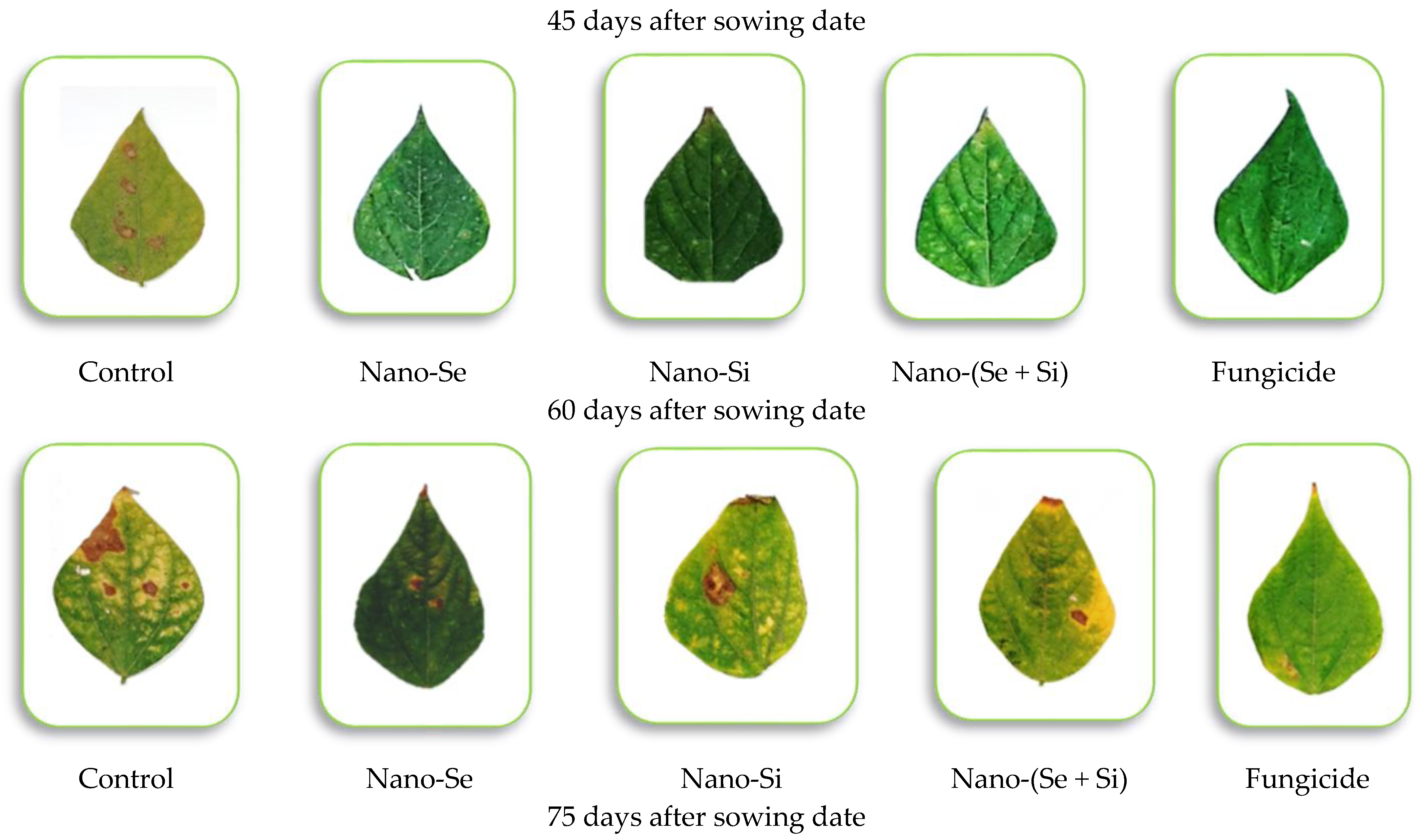 Microorganisms 11 00728 g006a Microorganisms 11 00728 g006a