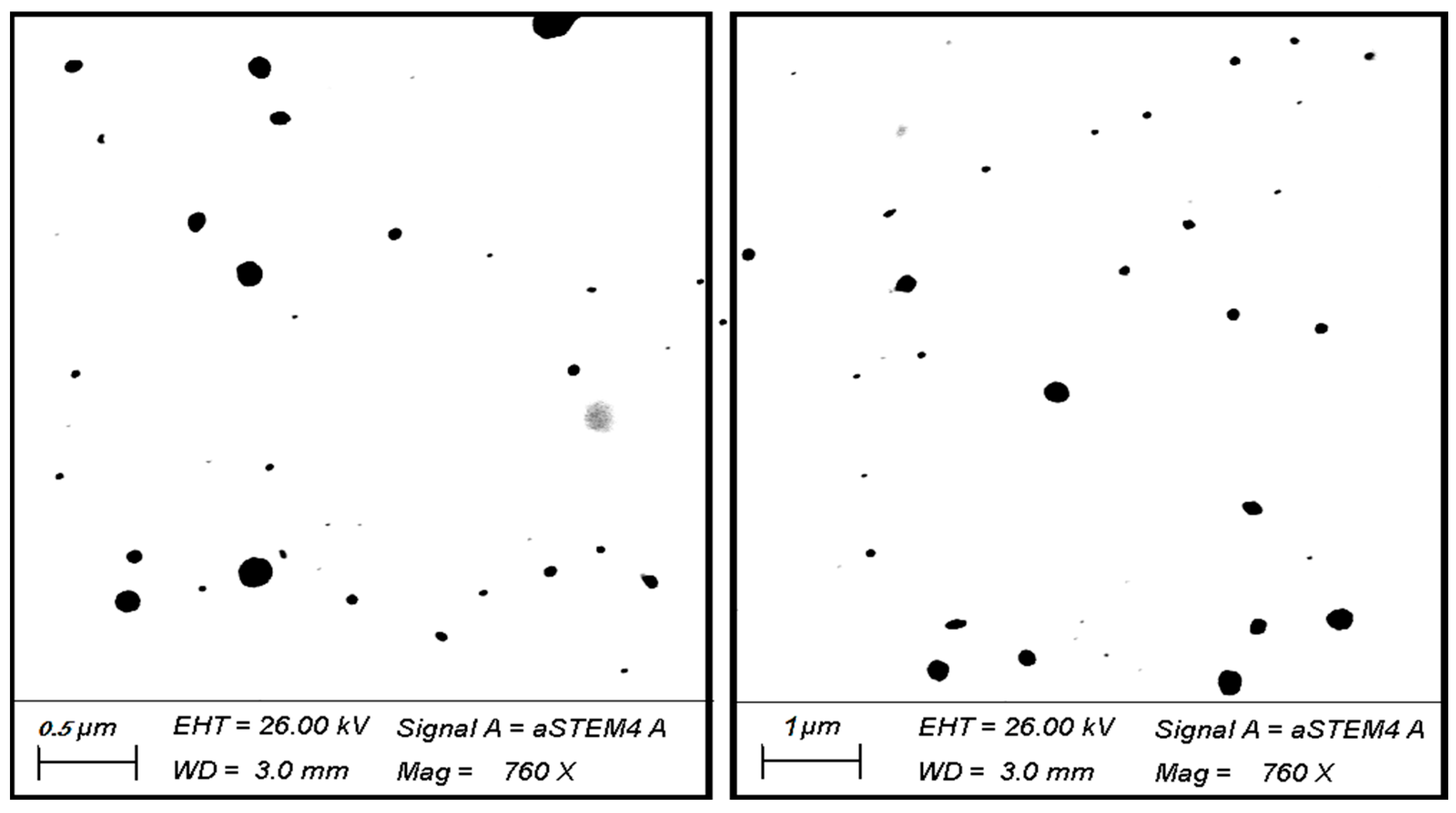Microorganisms 11 00733 g002 Microorganisms 11 00733 g002
