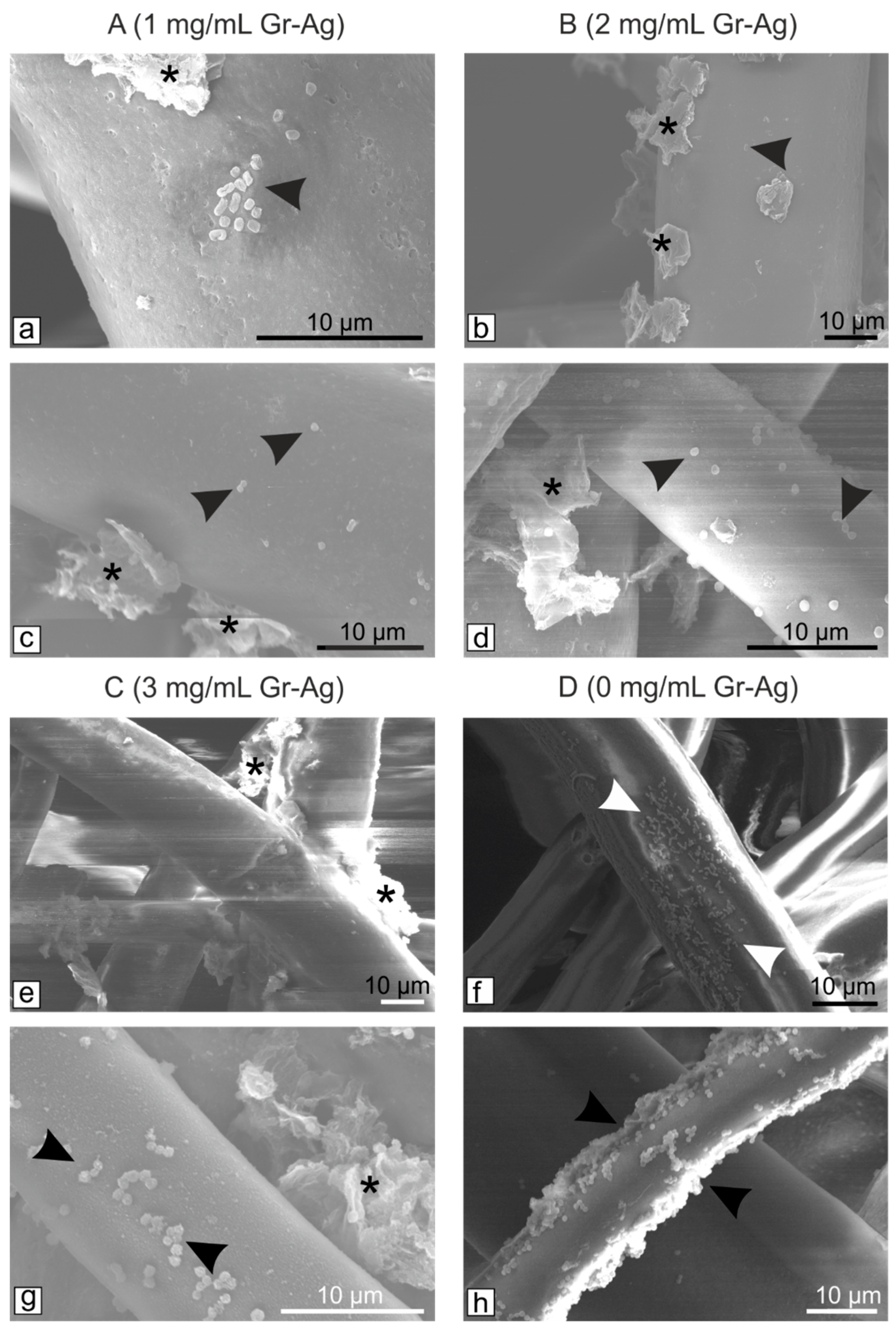 Microorganisms 11 00745 g003 Microorganisms 11 00745 g003