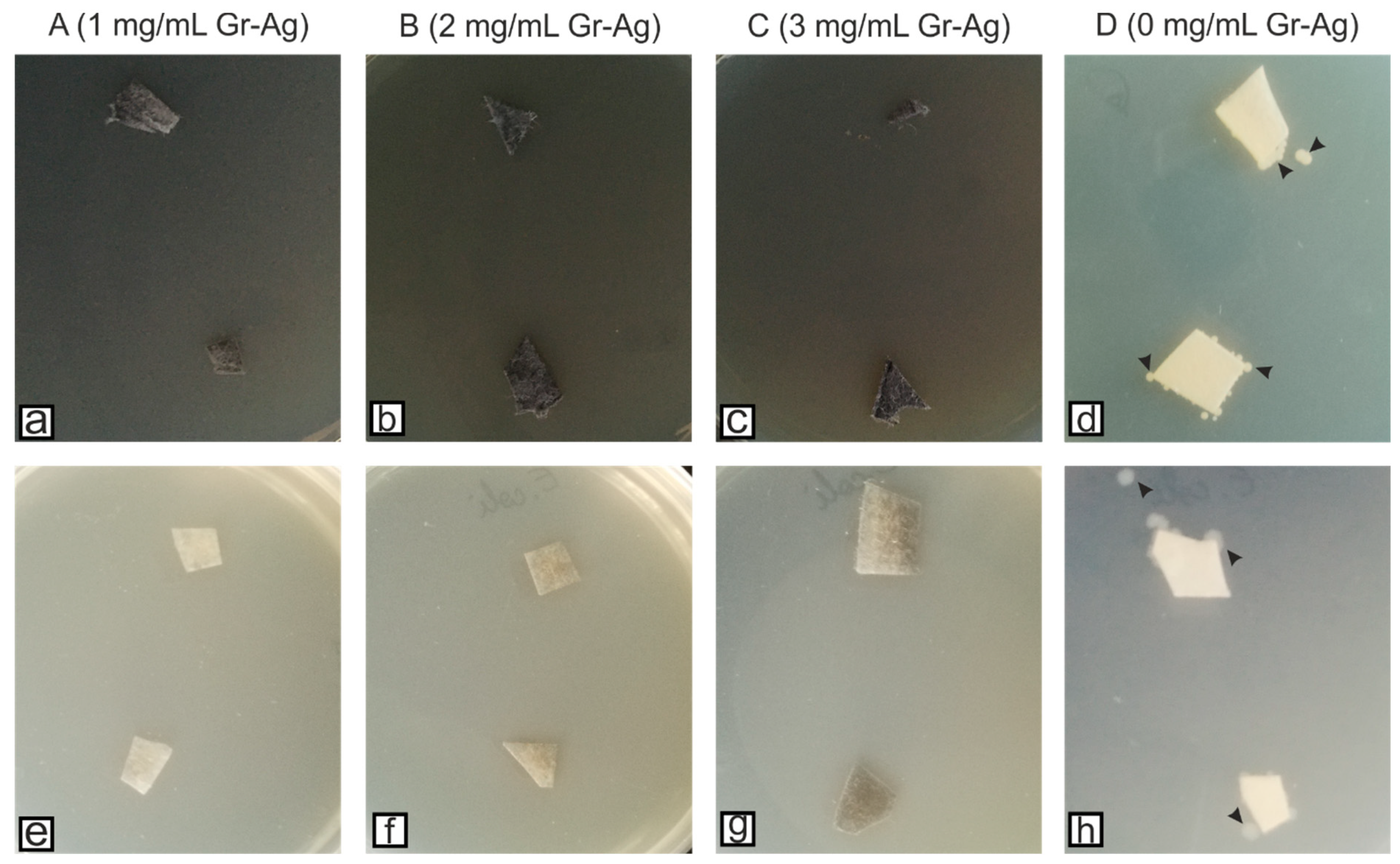 Microorganisms 11 00745 g004 Microorganisms 11 00745 g004